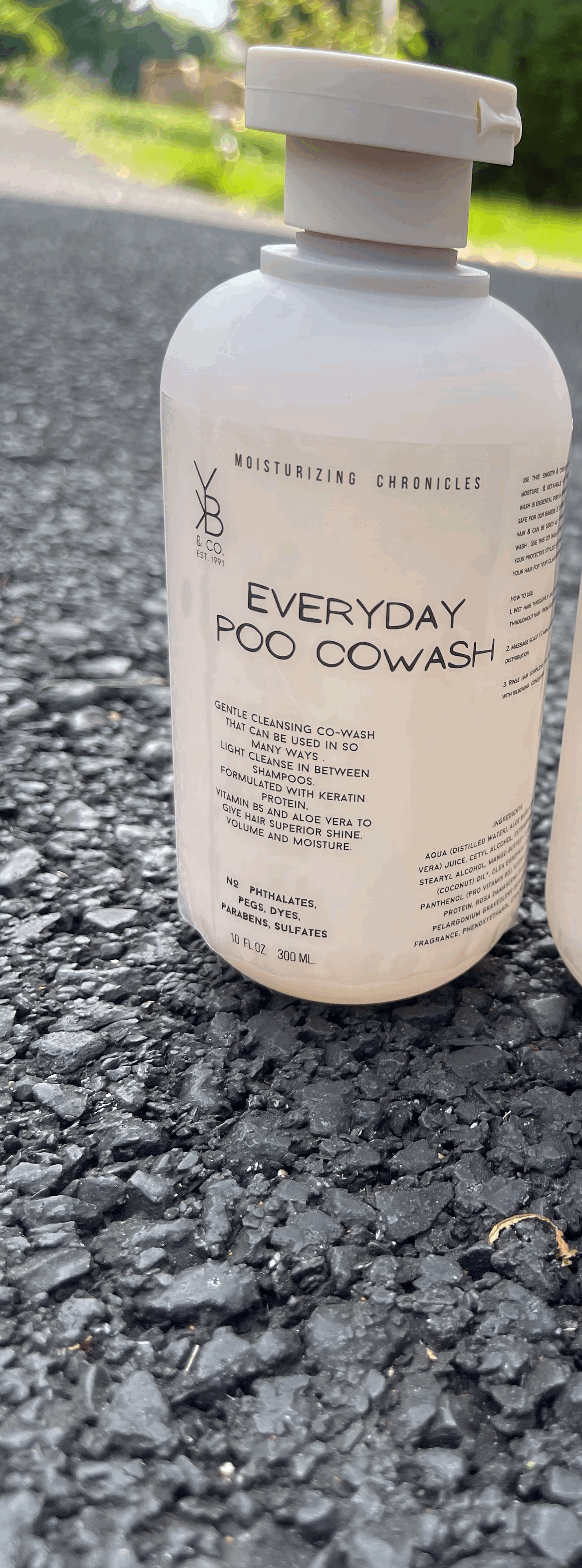 Everyday Poo