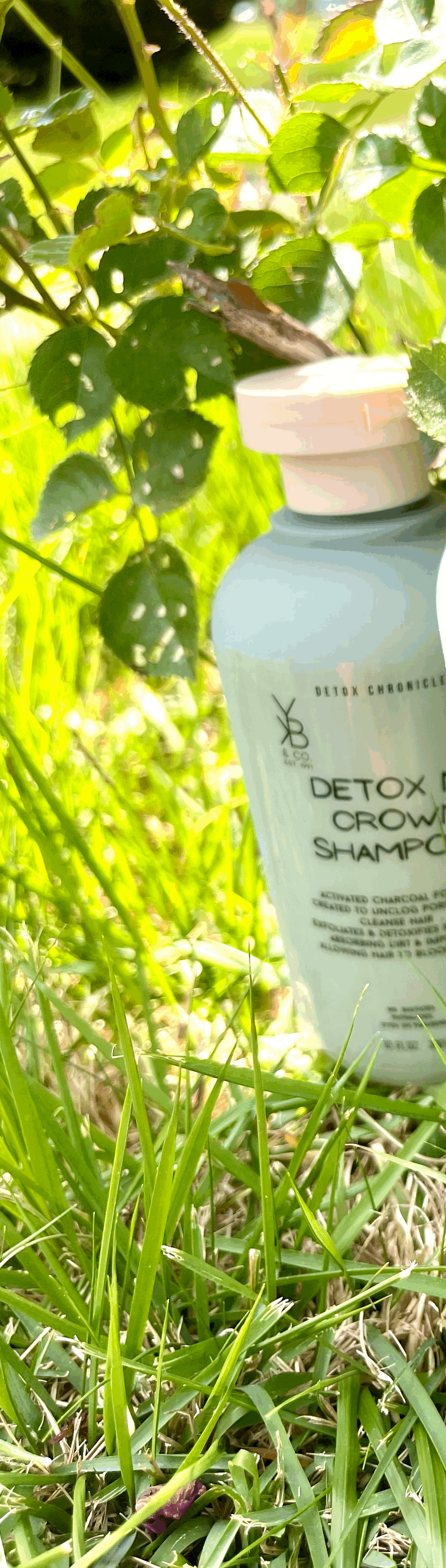 Detox My Crown Shampoo