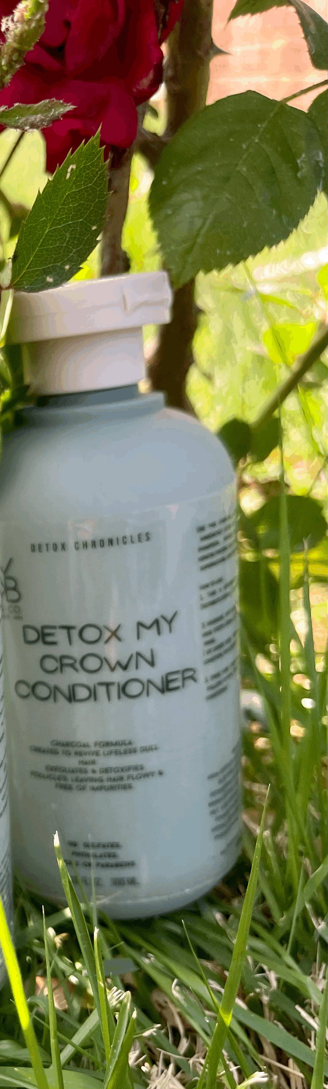 Detox My Crown Conditioner