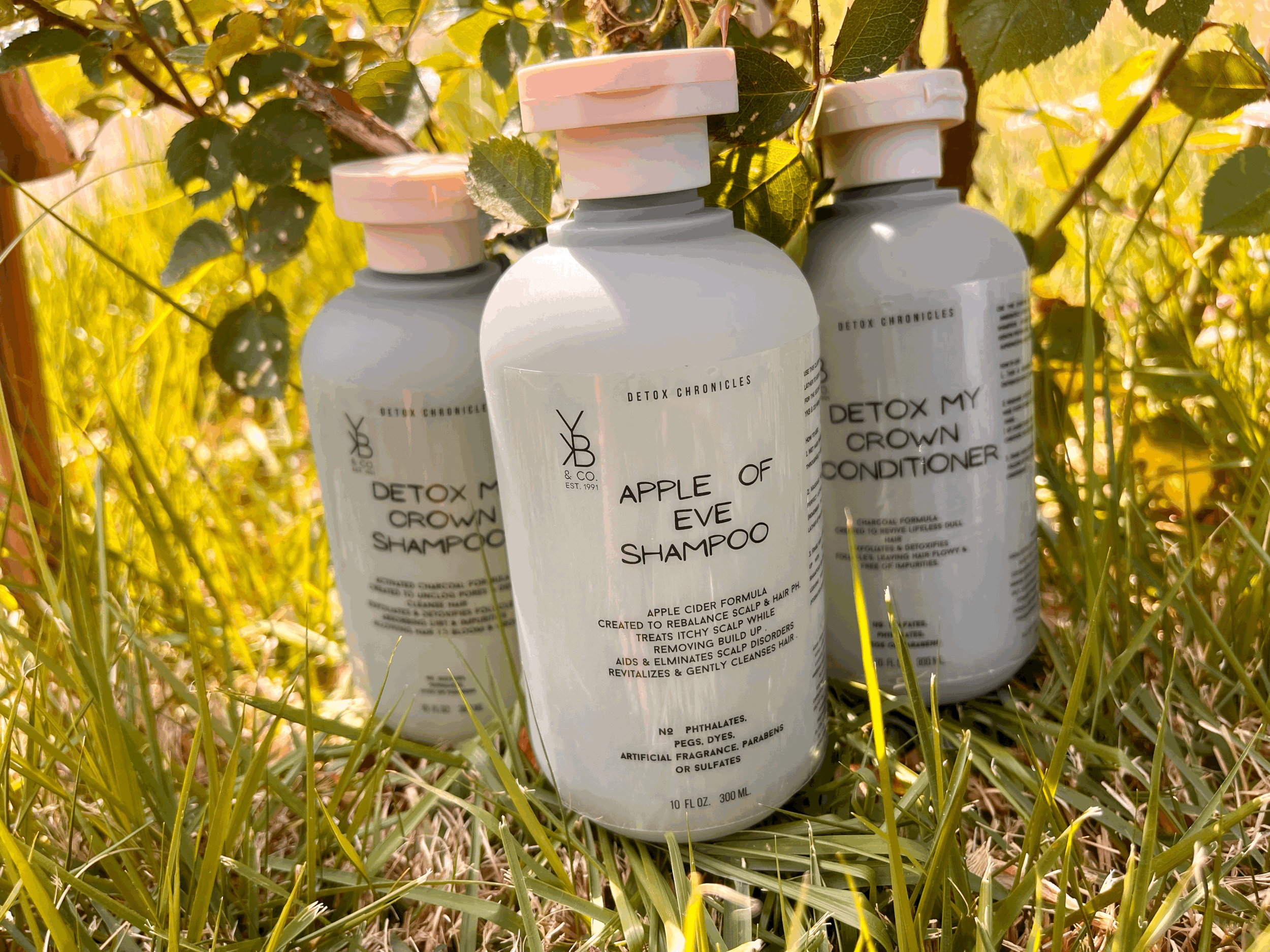 DETOX CHRONICLE PACKAGE