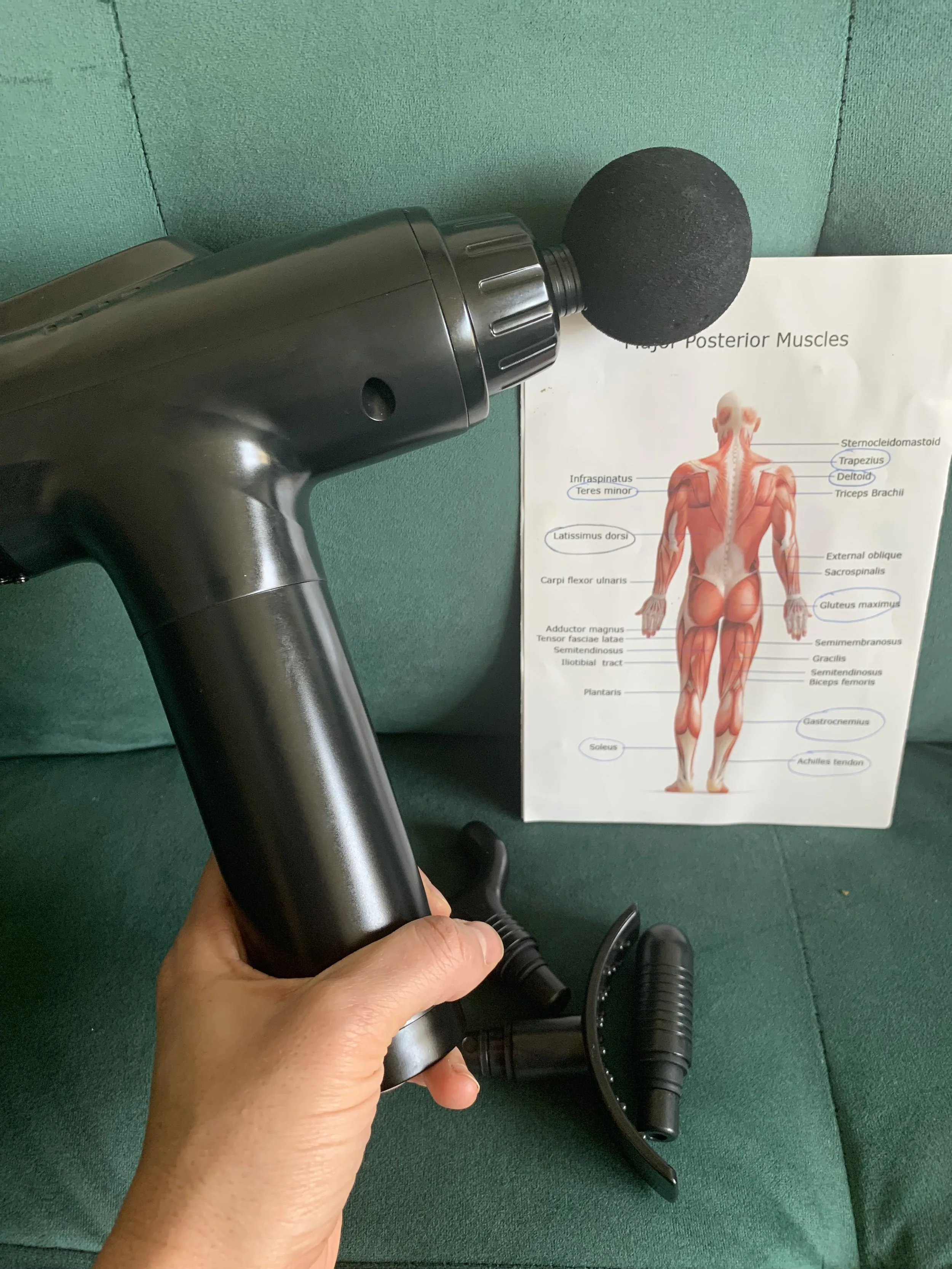 Hand holding a black massage gun with attachments and a muscle anatomy chart in the background.
