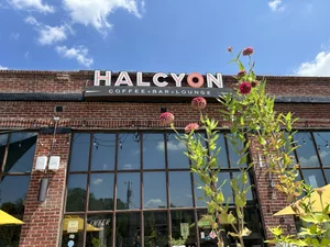 Halcyon photo