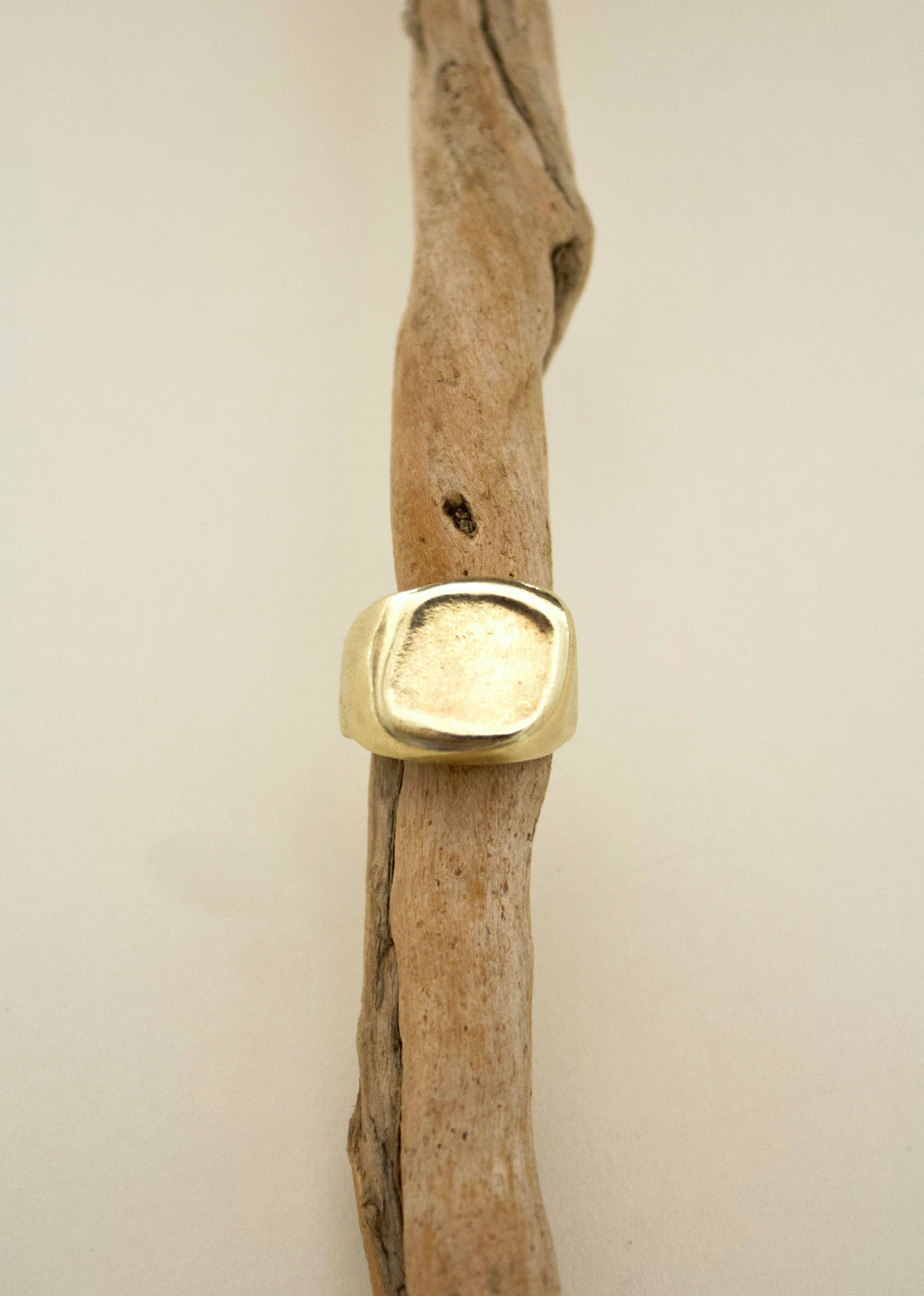 Nodo_chunky_signet_ring_life.jpg
