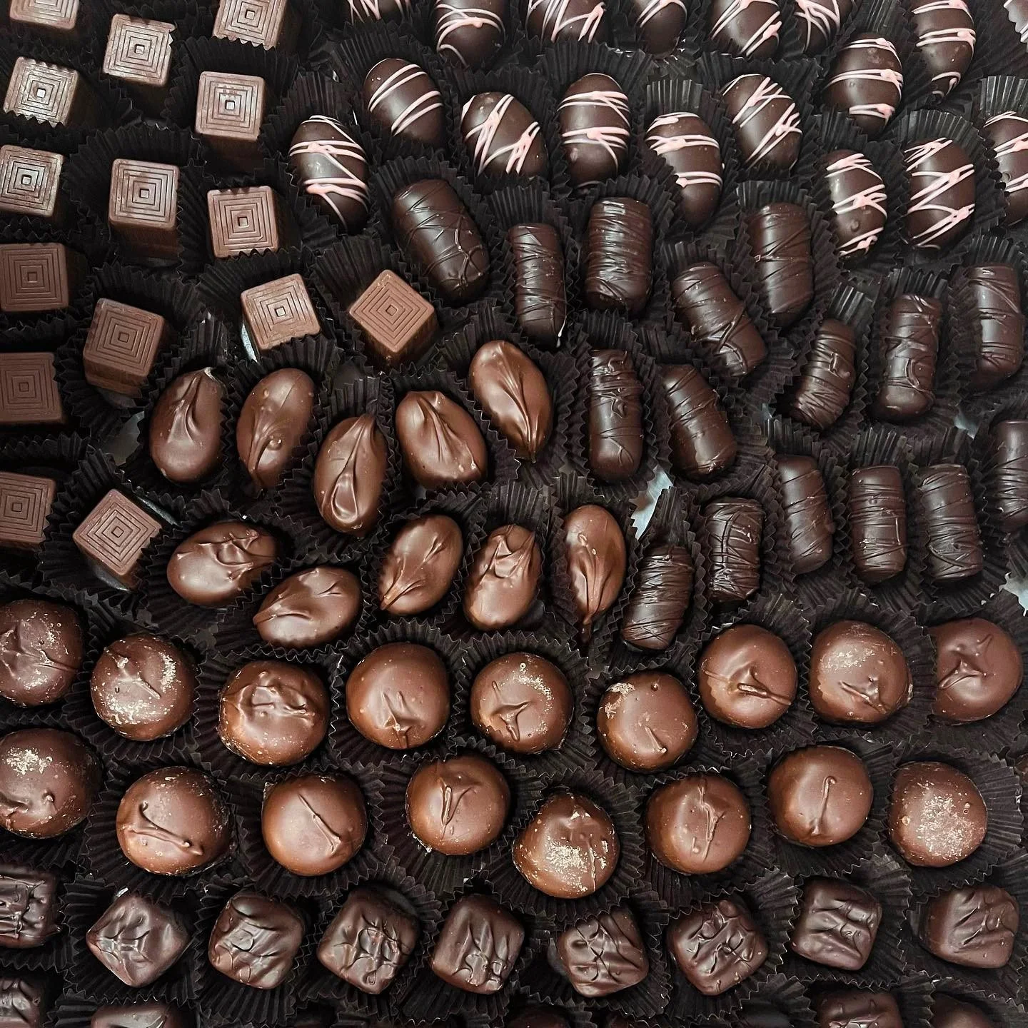 Hand Dipped Milk & Dark Chocolates