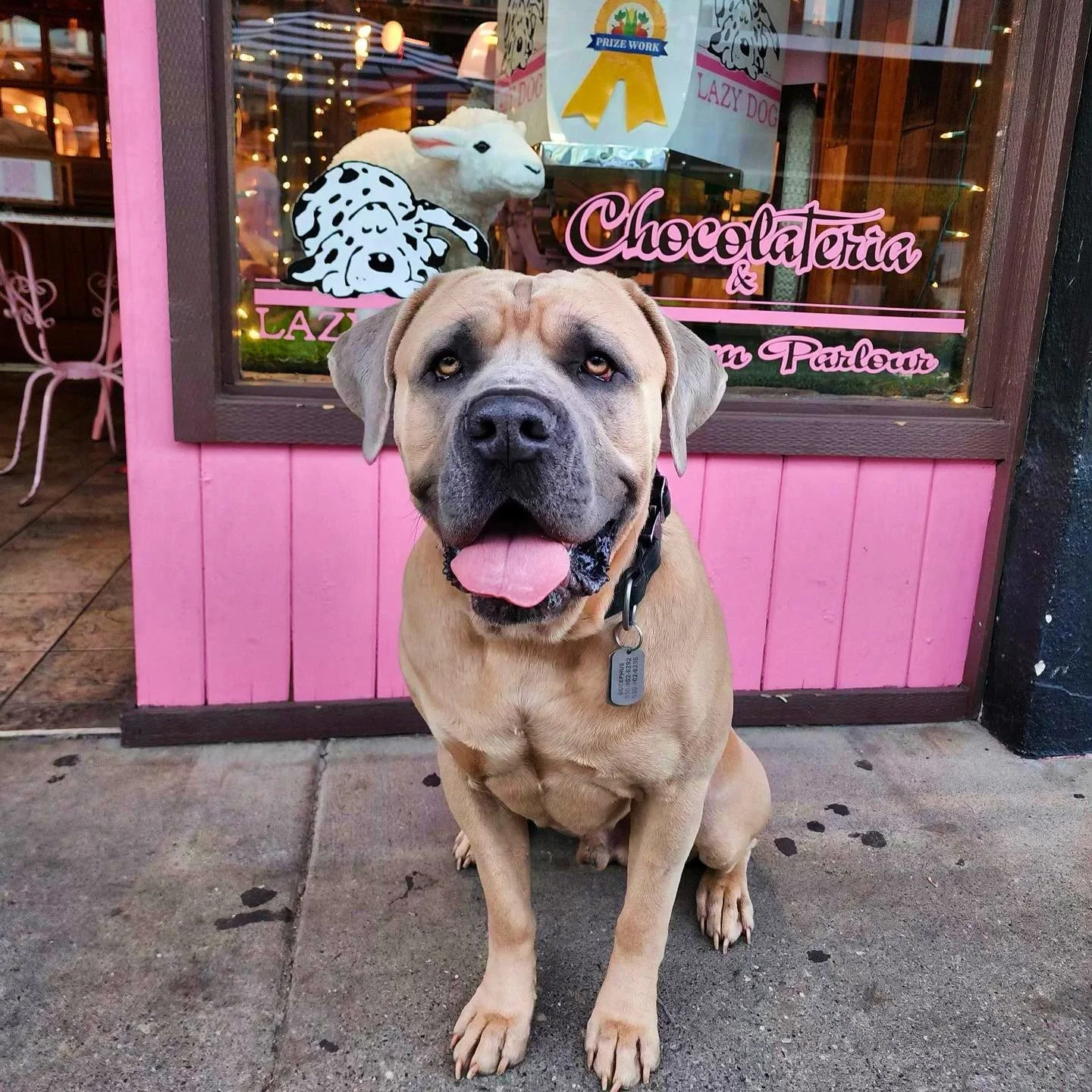 Bring Your Best Friend In