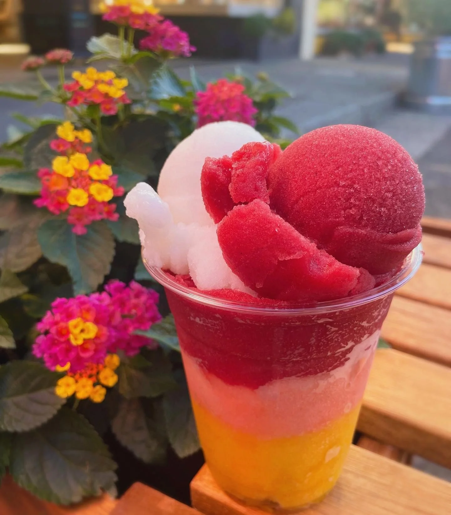 Dairy Free Italian Ice
