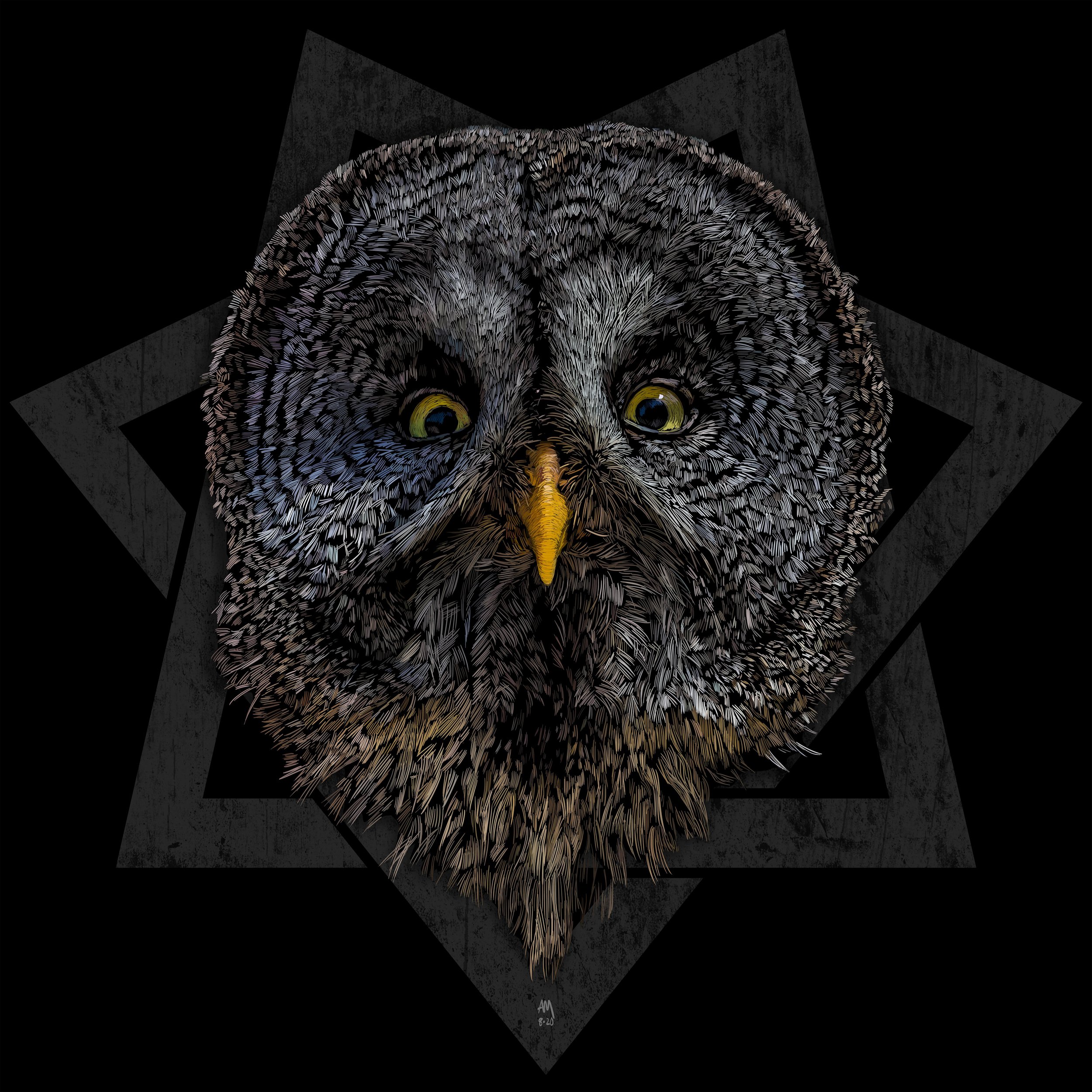 The Great Owl