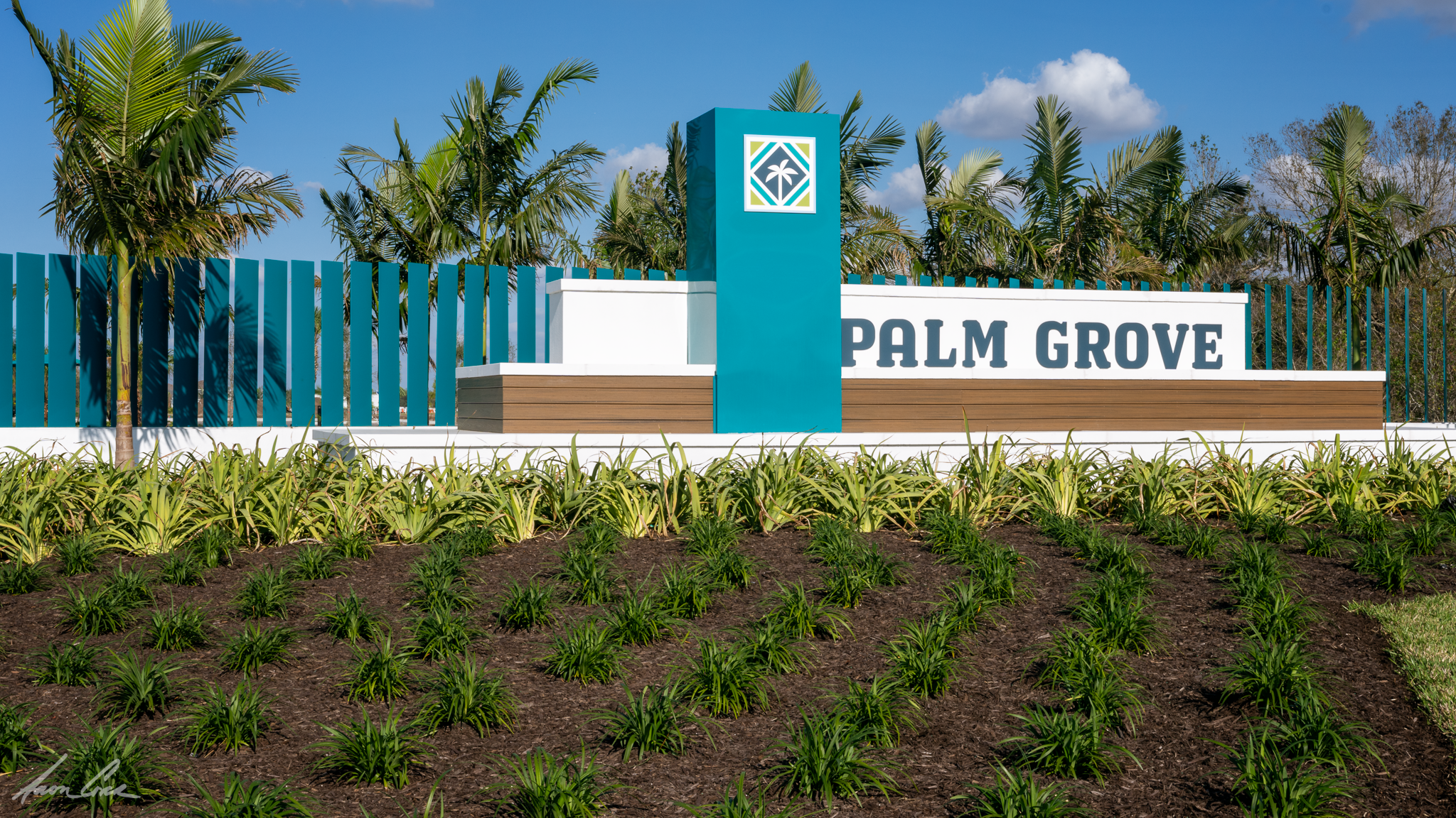 Palm Grove.png