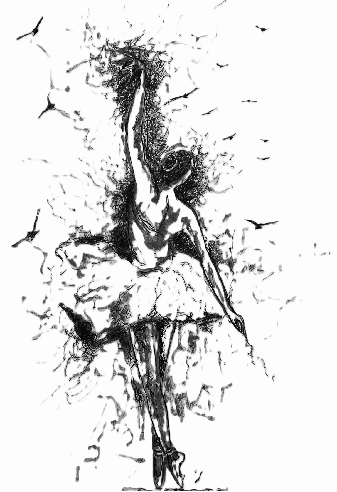 Black and white monochrome dancer ballerina free in fine art freehand form. Beautiful romance, love resilience and strength found in love and created in movement of the soul. Birds. Thirteen. Prints.