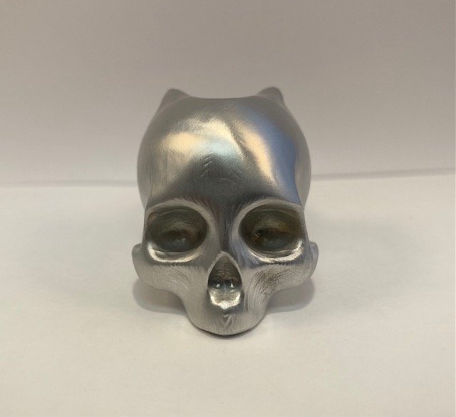 Skull Front Facing.jpg