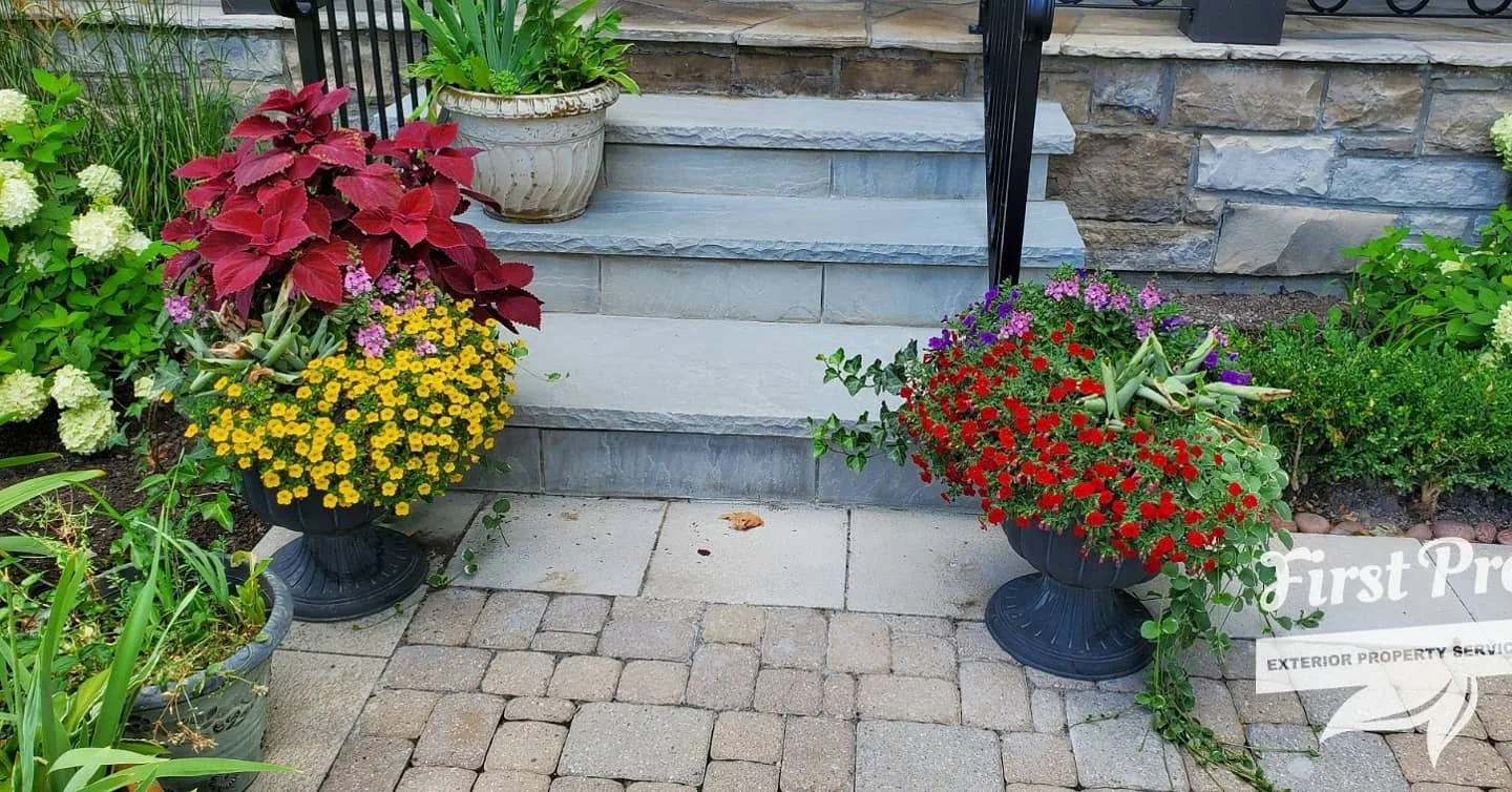 We built these beautiful new natural stone front steps. Scroll to the end to see the before photo. 
A full transformation!
.
.
#landscapedesign #patios #landscapinggta #exteriordesign#decks #landscaping #cedarwood #gtalandscaping #gtalandscapingservi