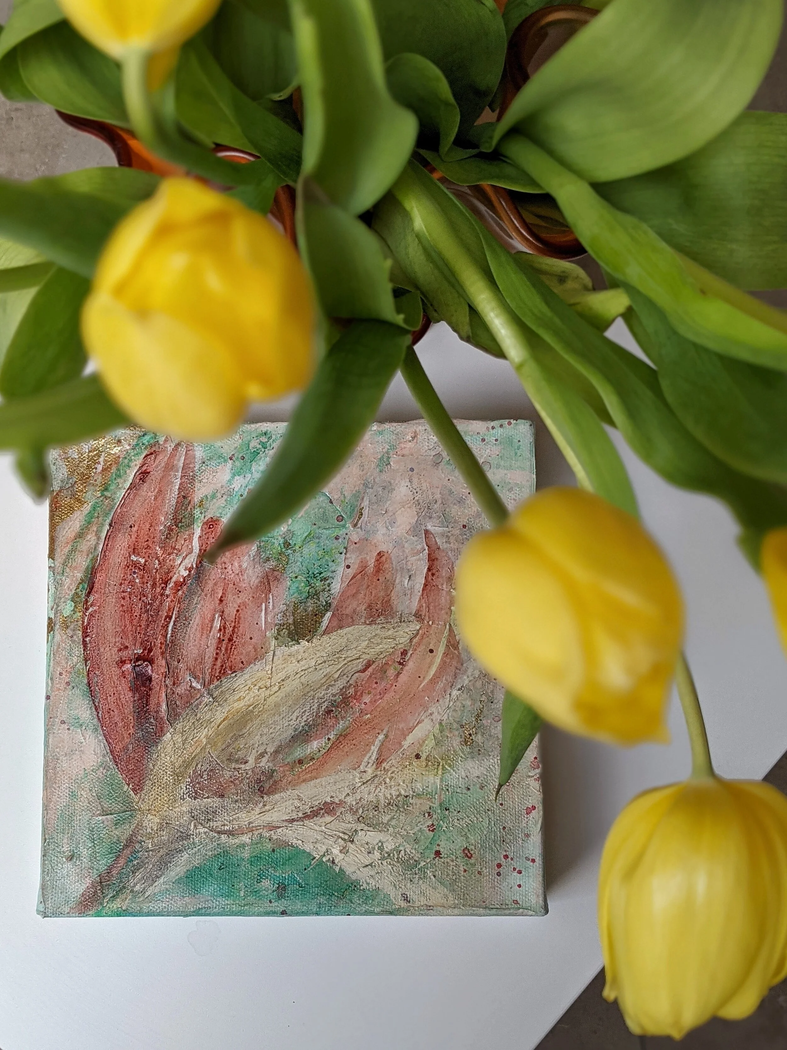 Tulip