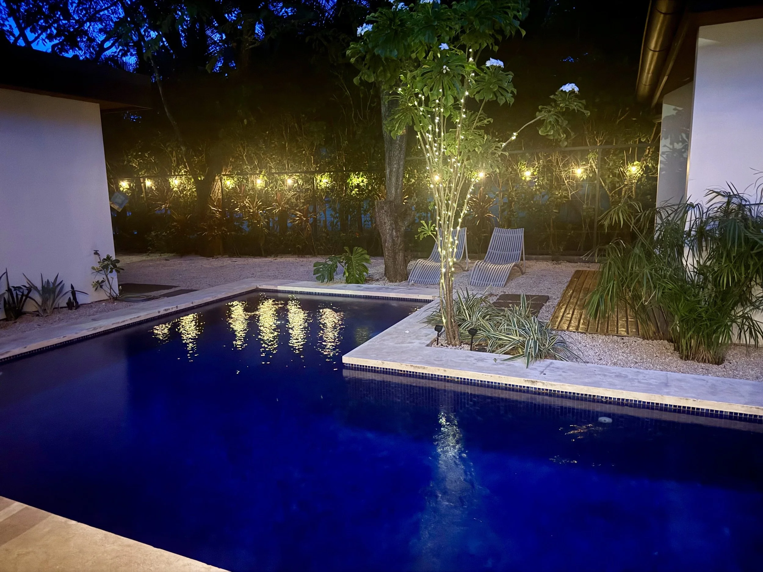 Night swims are the best!