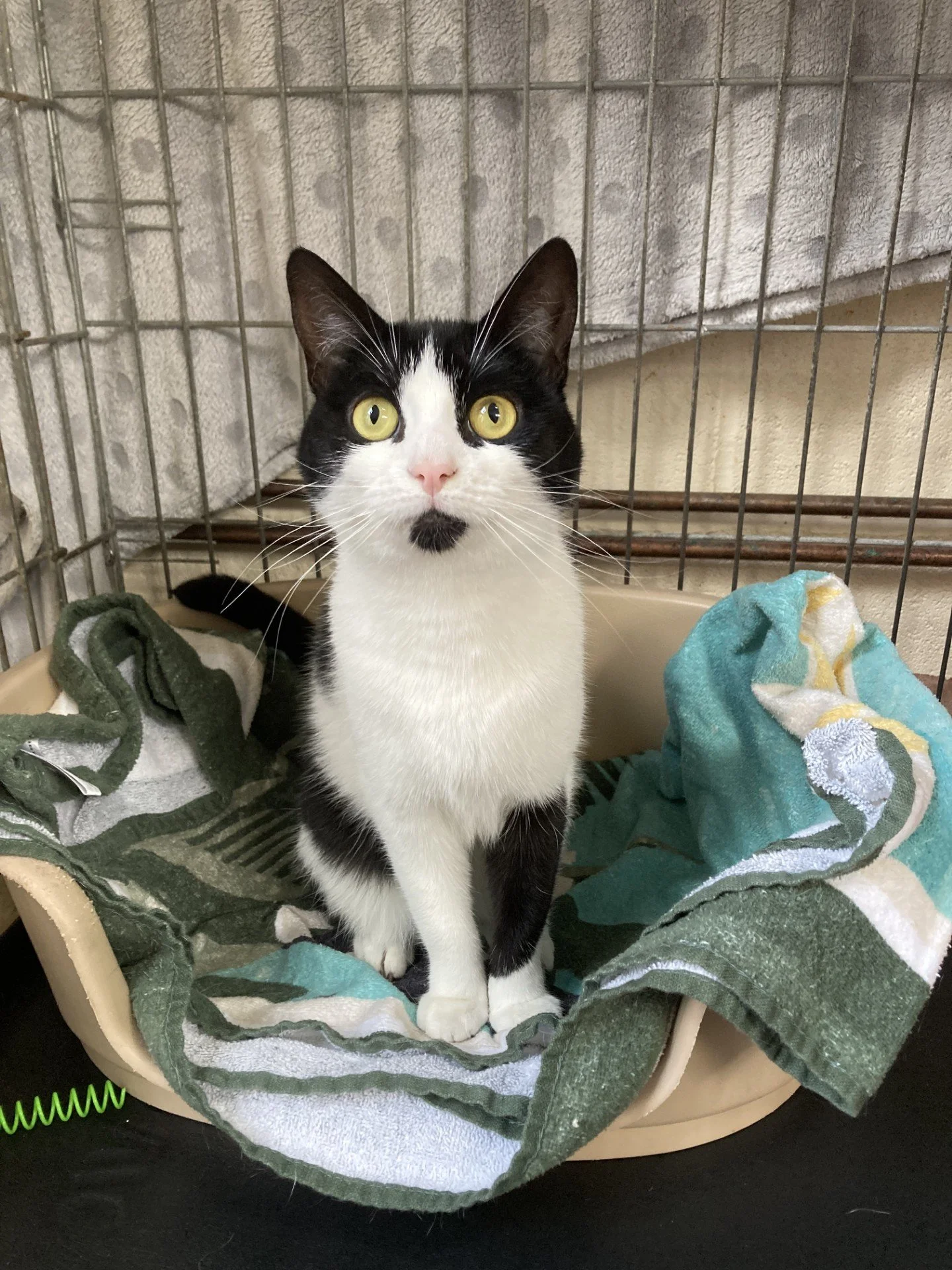 Margot - Reserved