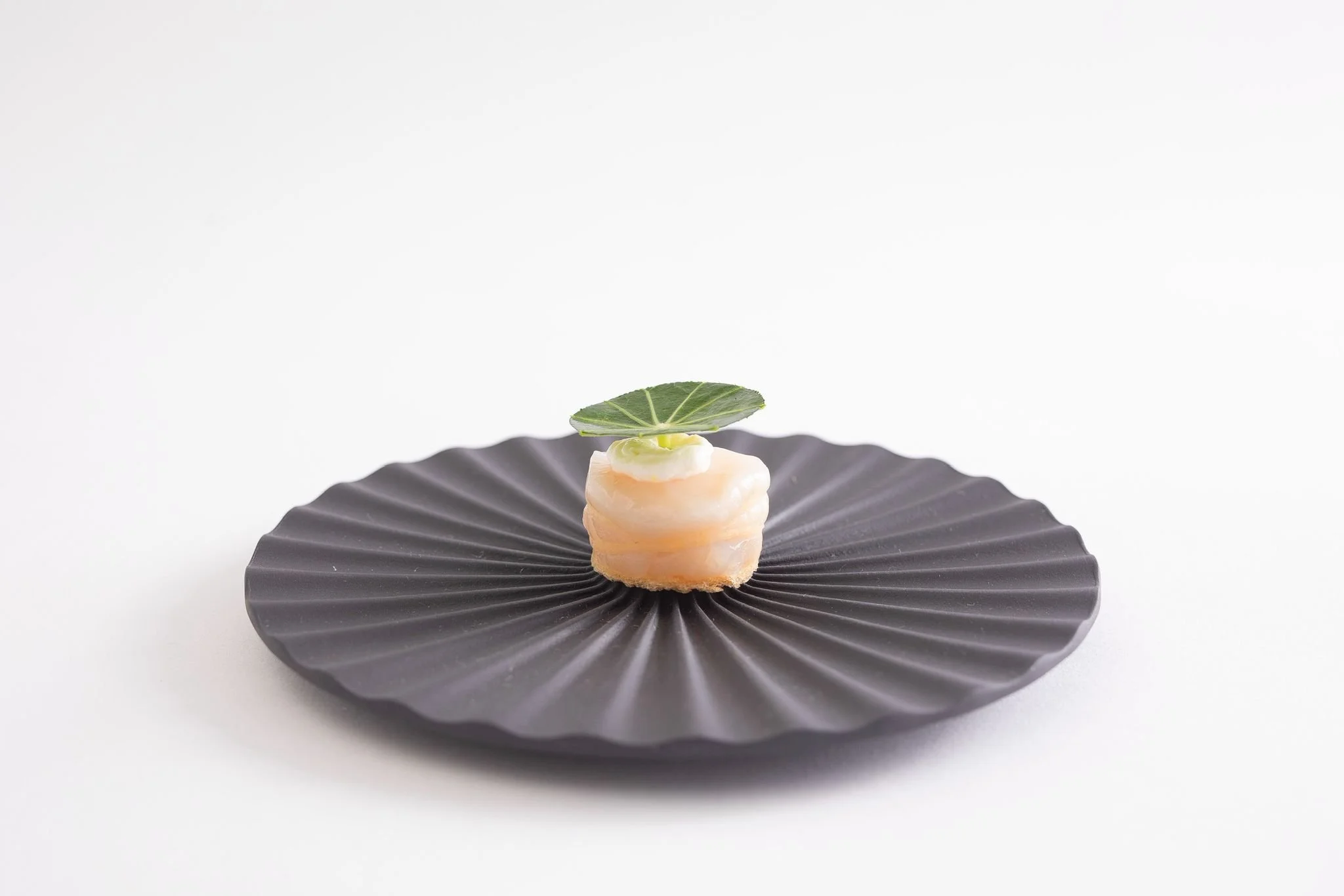 Une petite portion de nourriture élégante avec une feuille verte sur le dessus, placée au centre d'une assiette noire élégante avec des bords ondulés, sur un fond blanc
