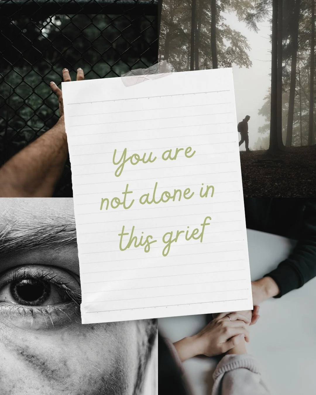 Today we honor International Survivors of Suicide Loss Day. 💛 ⁠
⁠
If you&rsquo;ve lost someone to suicide, you know the grief never really ends, but healing is possible when we talk about it and lean on others.⁠
⁠
At INR, we&rsquo;re here for surviv
