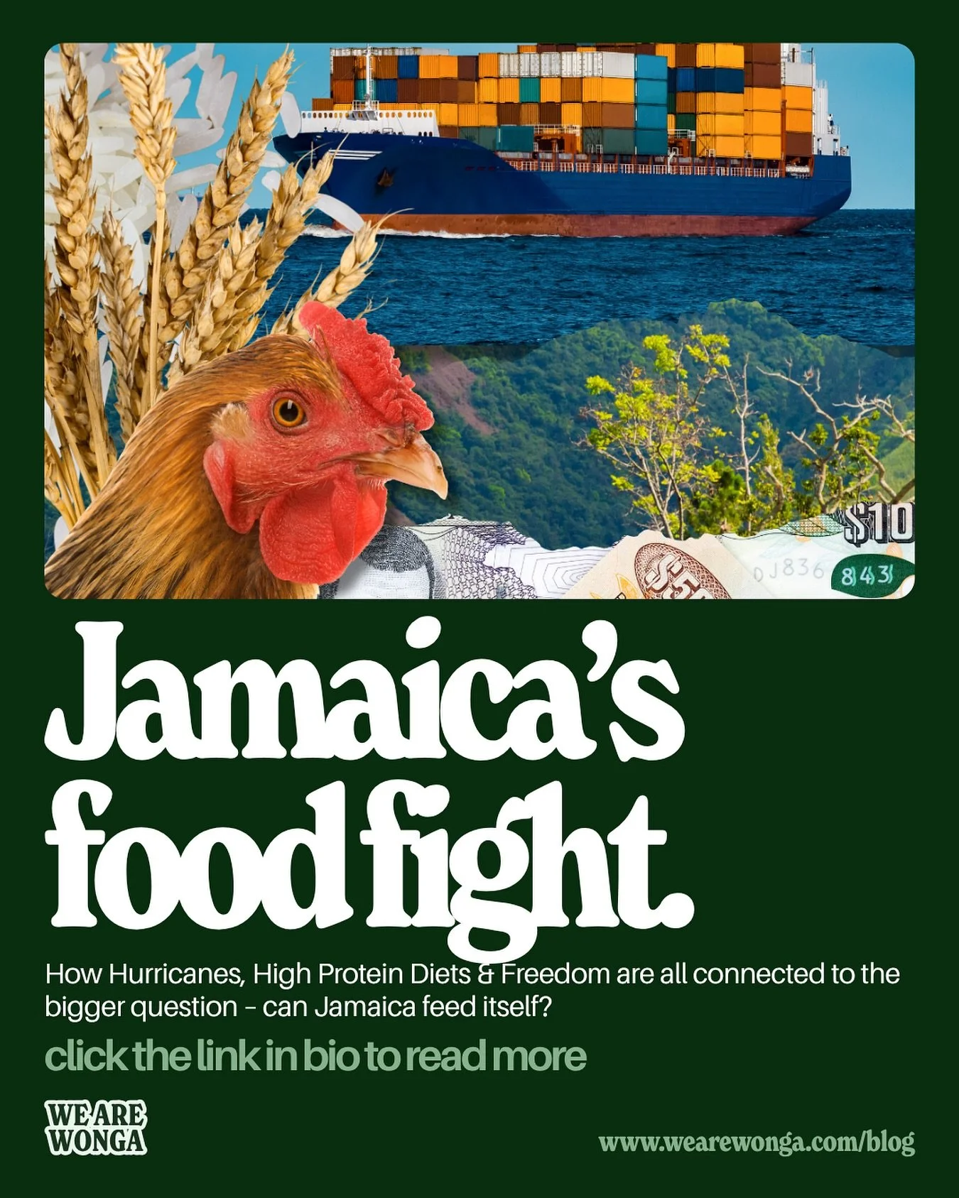 Jamaica&rsquo;s battle to feed itself is heightened now more than ever after Hurricane Melissa. How did we get here to begin with, and can we begin to sustain ourselves? Or are we too far gone? 👀🇯🇲

Guest contributor, @ashleyneisbeth, shares some 