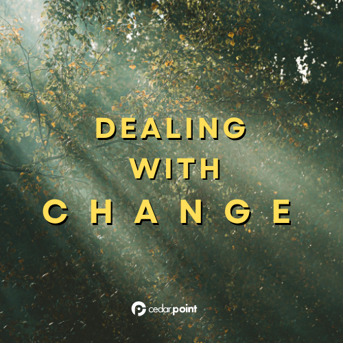 Dealing with Change: Removing Weights