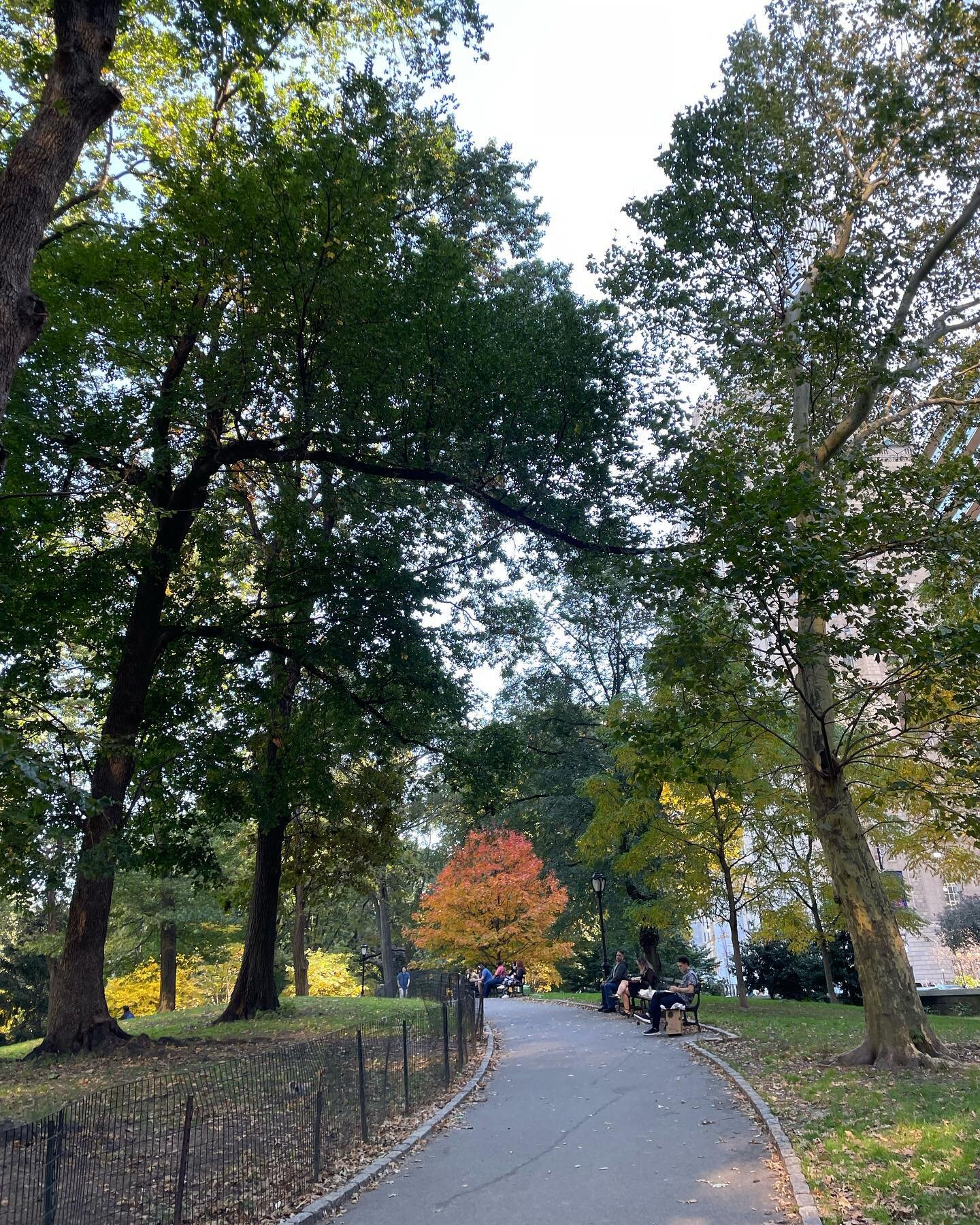 The day when the weather was perfectly beautiful. Tomorrow will be another one the temperature goes up to 80 😎 

#fall#nottoday#centralpark#manhattan#natureitself#sobeautiful#healing