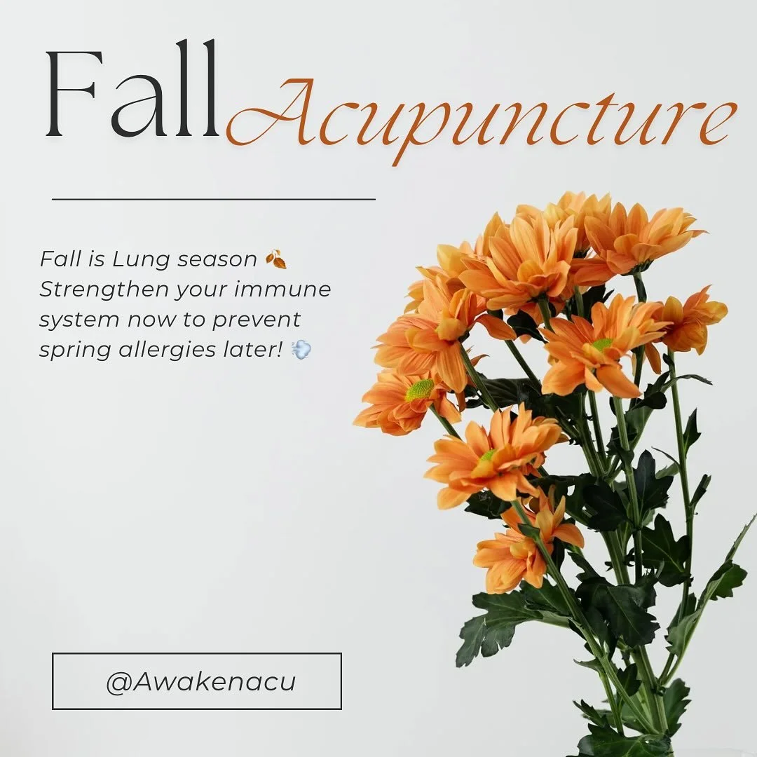 🍂 Fall is Lung season!
Now&rsquo;s the perfect time to nourish your lungs and boost your immunity with acupuncture 🌿
Start now to stay ahead of spring allergies! 🌬️💪

#FallAcupuncture #LungSeason #ImmuneSupport #NaturalHealing #AwakenAcu #Seasona