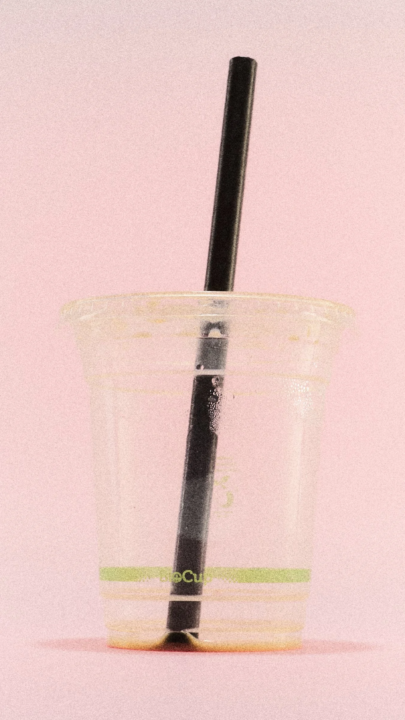 __20250923__HAZELNUT SOUR_80432_.JPG