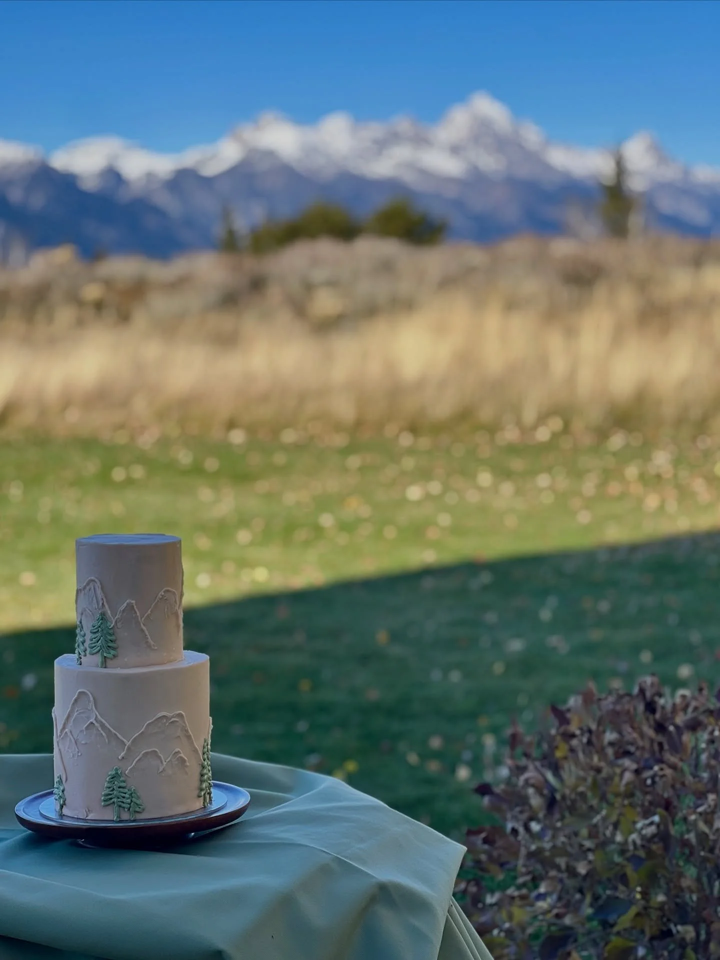In love with this mountain cake &amp; a mountain view ⛰️
.
Yellow cake, chocolate ganache, chocolate buttercream &amp; vanilla buttercream coating.
.
.
#bakemeveganjh #vegan #veganbaking #plantbasedliving #plantbaseddiet #plantbasedcake #love #eatveg