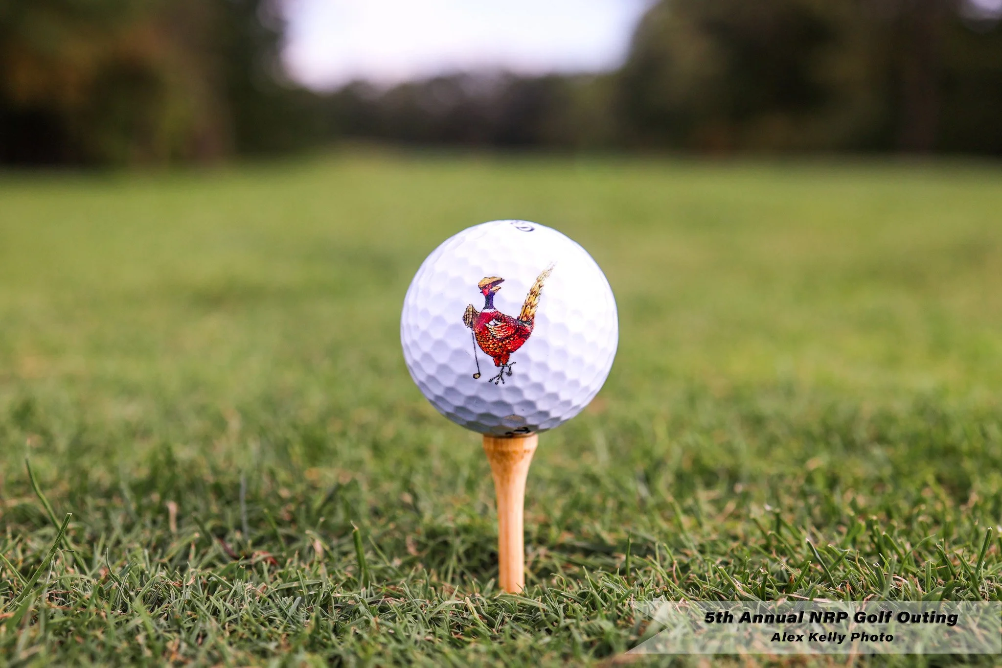 NRP_Golf_Fundraiser_September 14, 2025_3202.jpg