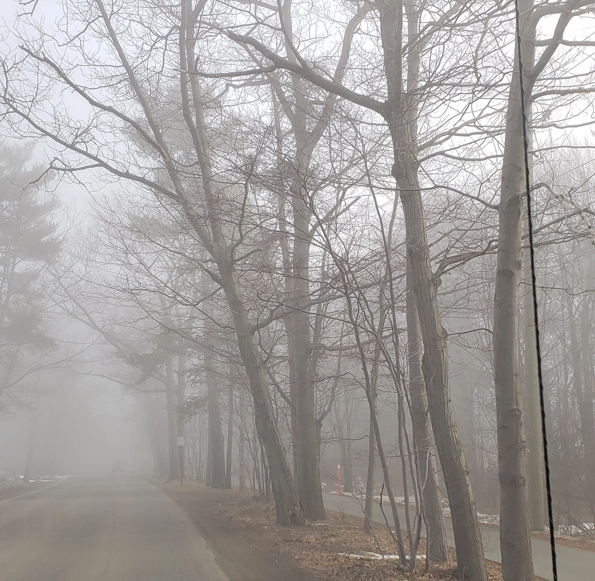 Daily Drives Together No Matter the Weather reference picture(original)