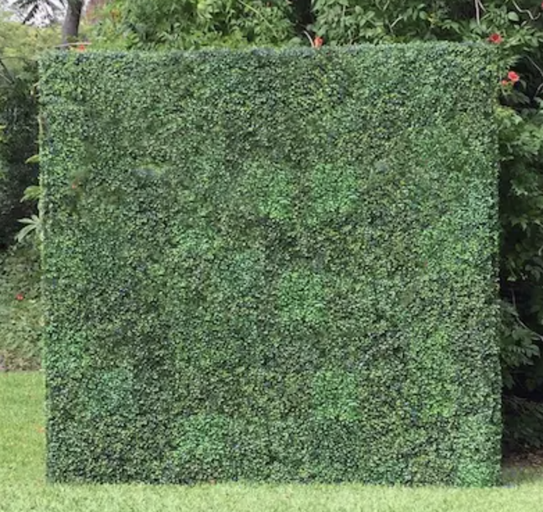 Screen Shot 2023-02-08 at 7.39.23 PM.png