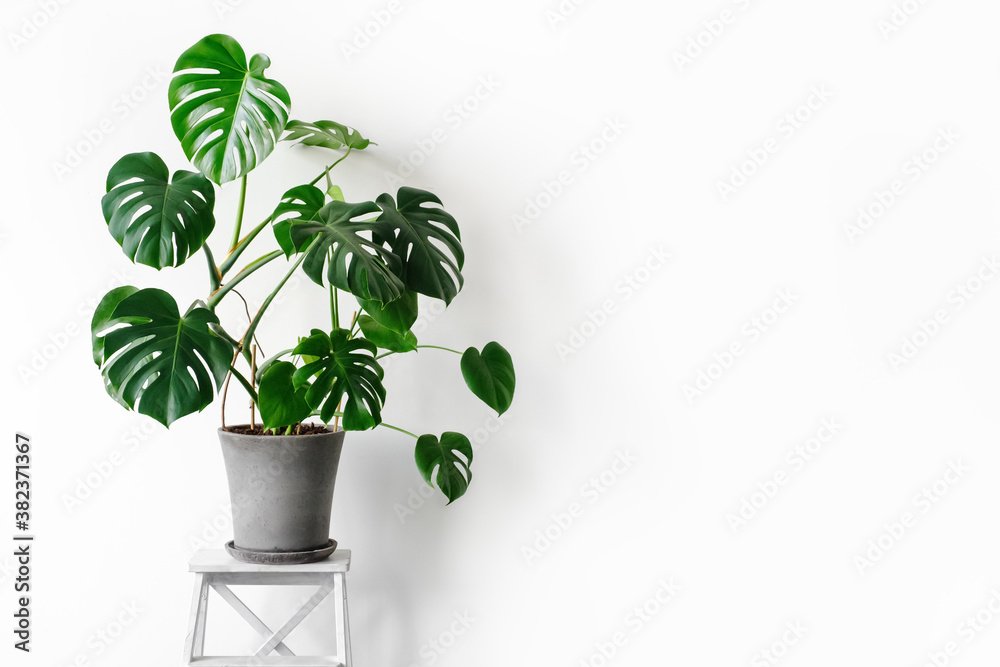 AdobeStock_382371367_Preview.jpeg