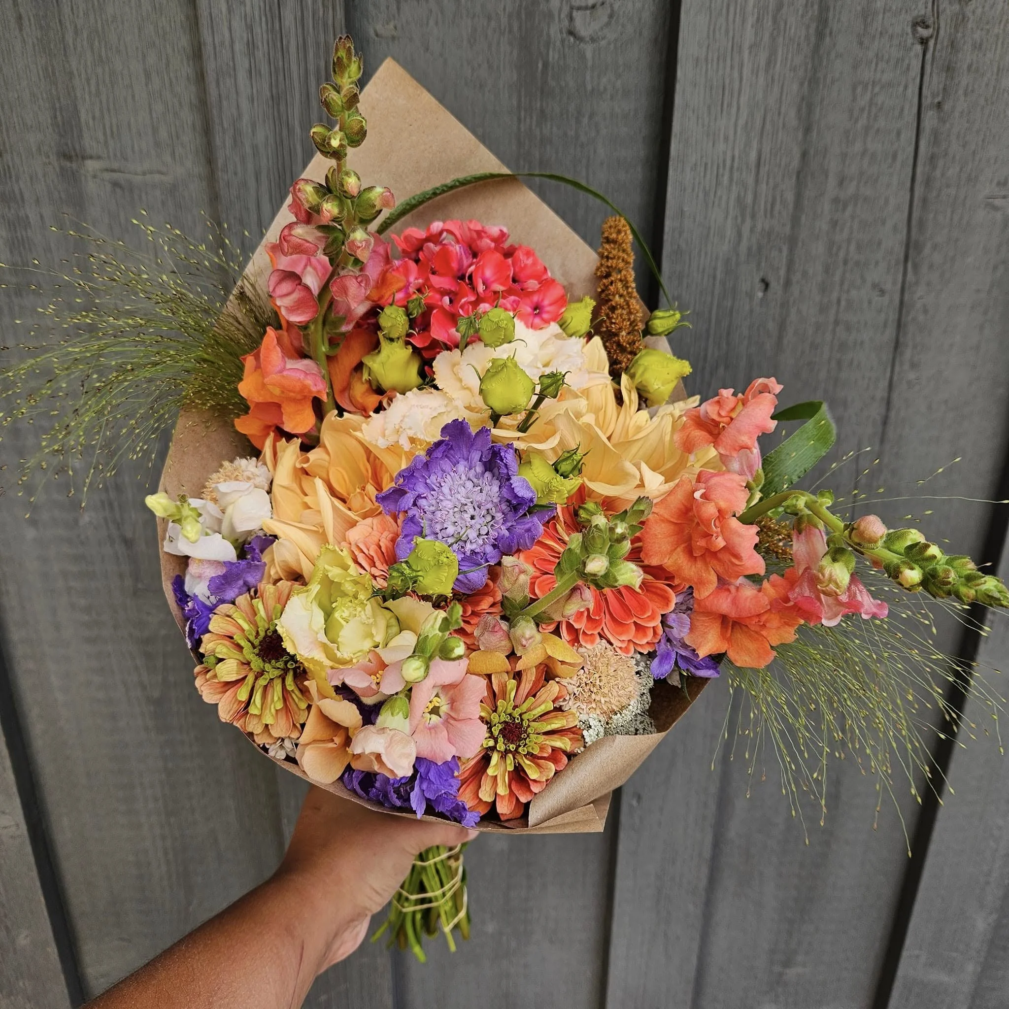 480906493_617346677594756_3626582173584379669_n.jpg (Copy) (Copy)