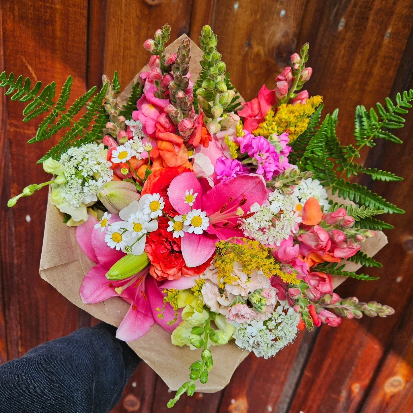 517388647_718510860811670_6325457339463253566_n.jpg (Copy) (Copy)