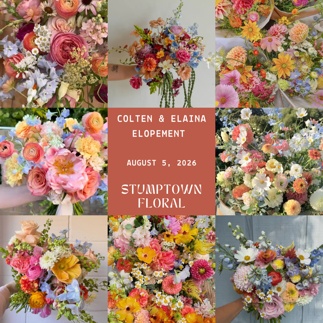 Copy of Copy of D & B Elopement 81226.png