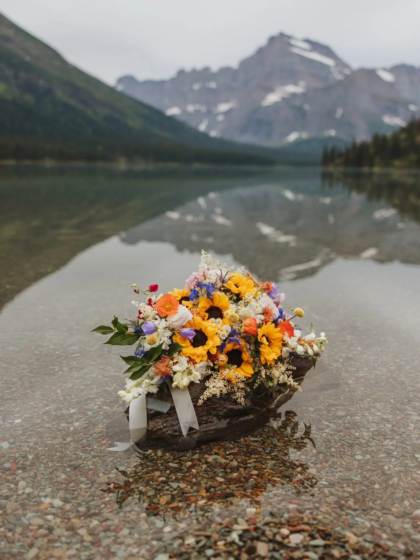 Aurelia K Photography