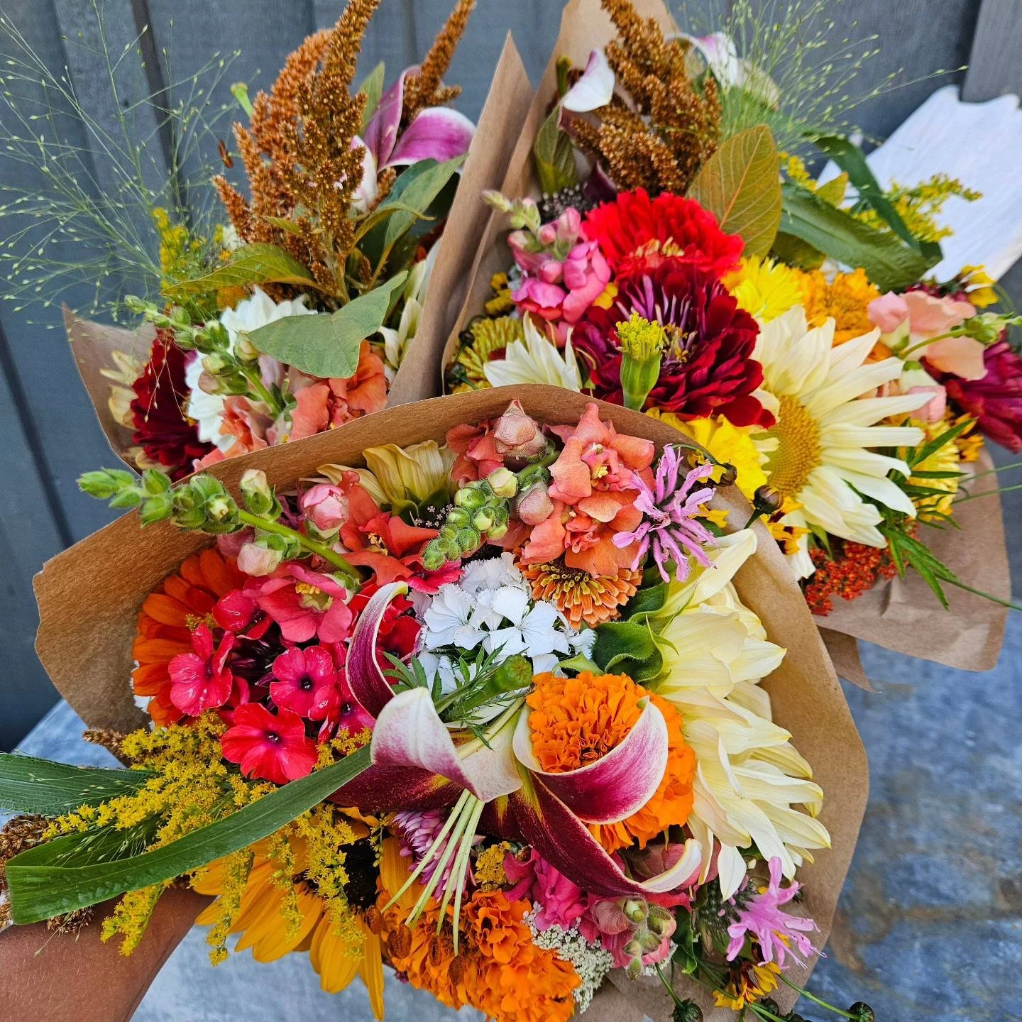 482215868_618983514097739_3801543940468650134_n.jpg (Copy) (Copy)