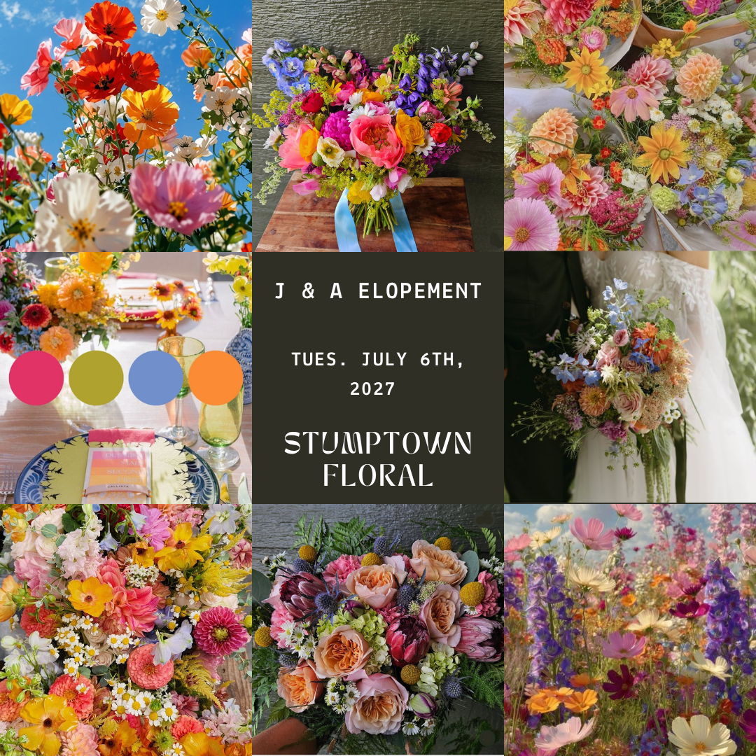 J&Aelopement7627.png