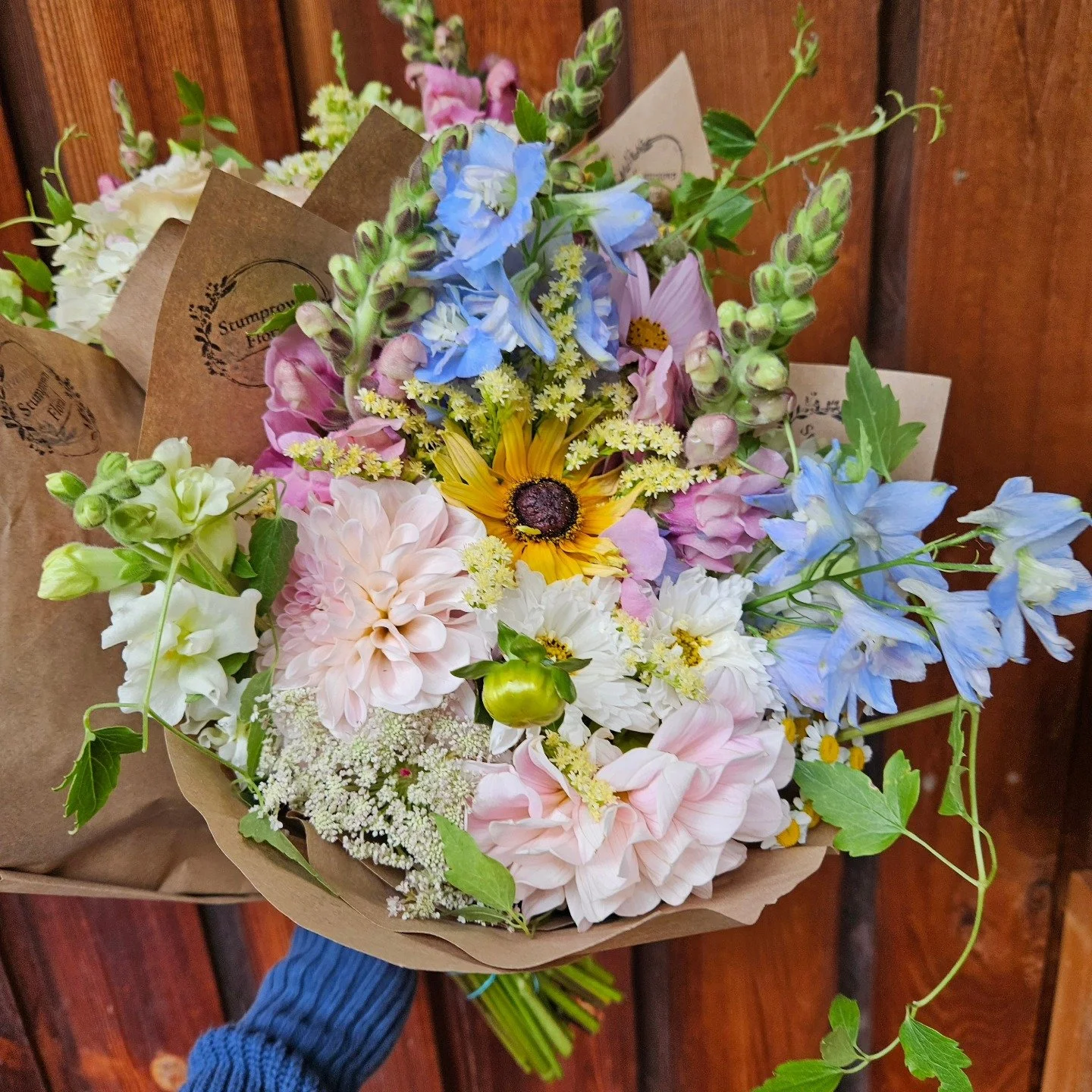 605746131_850690077593747_1373203535379201792_n.jpg (Copy) (Copy)