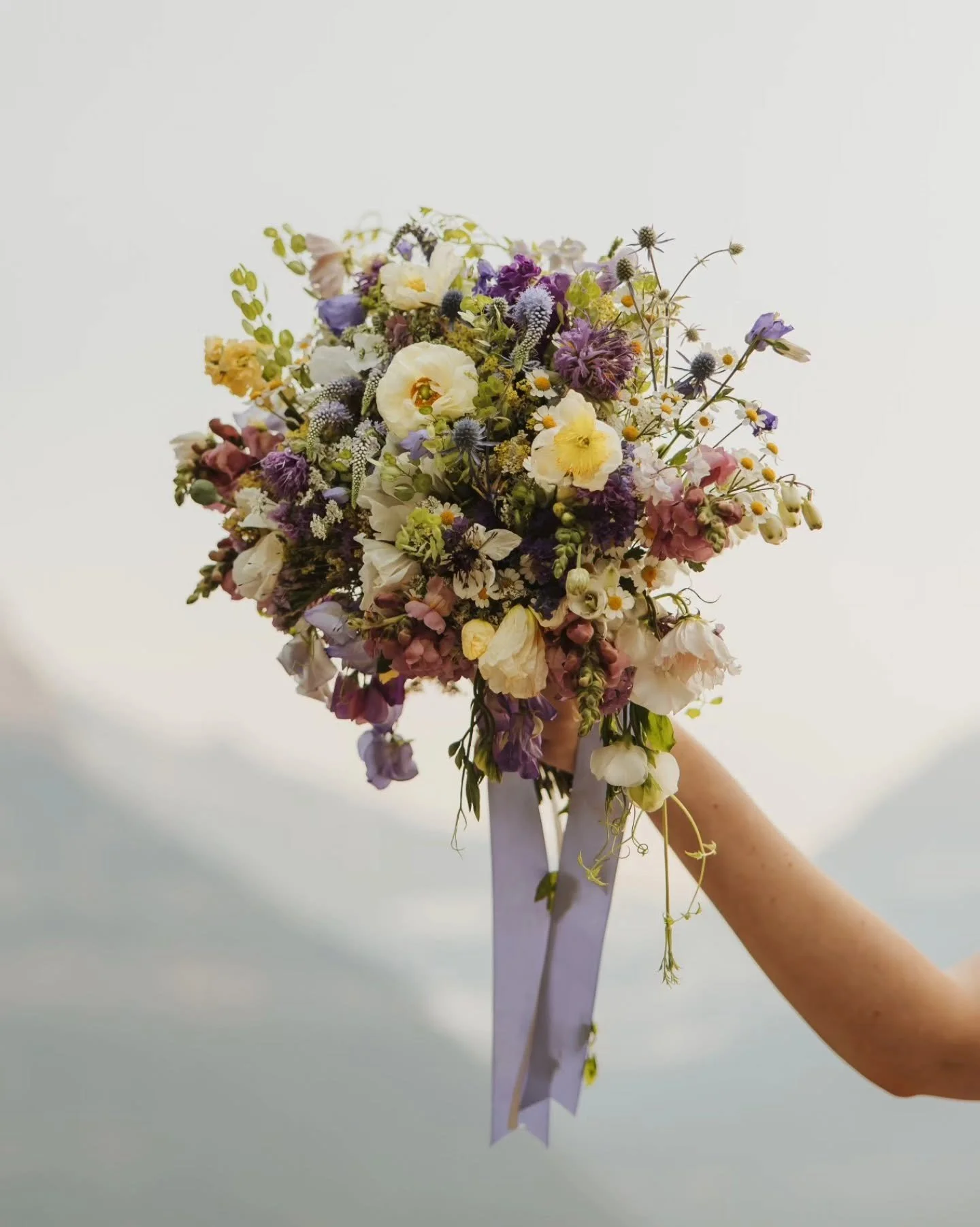 Aurelia K Photography