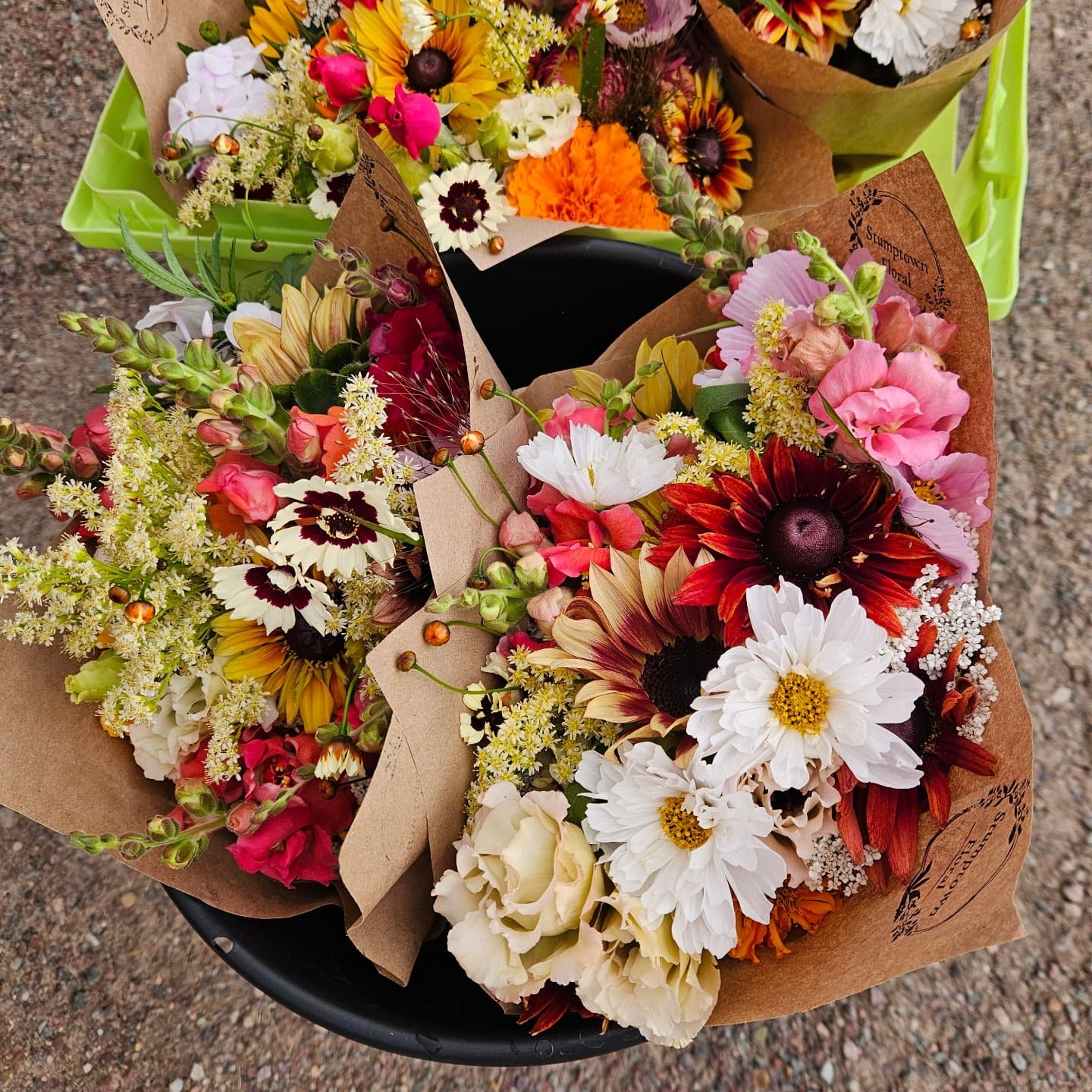 546548969_18056087780567040_1272455964600894120_n.jpg (Copy) (Copy)