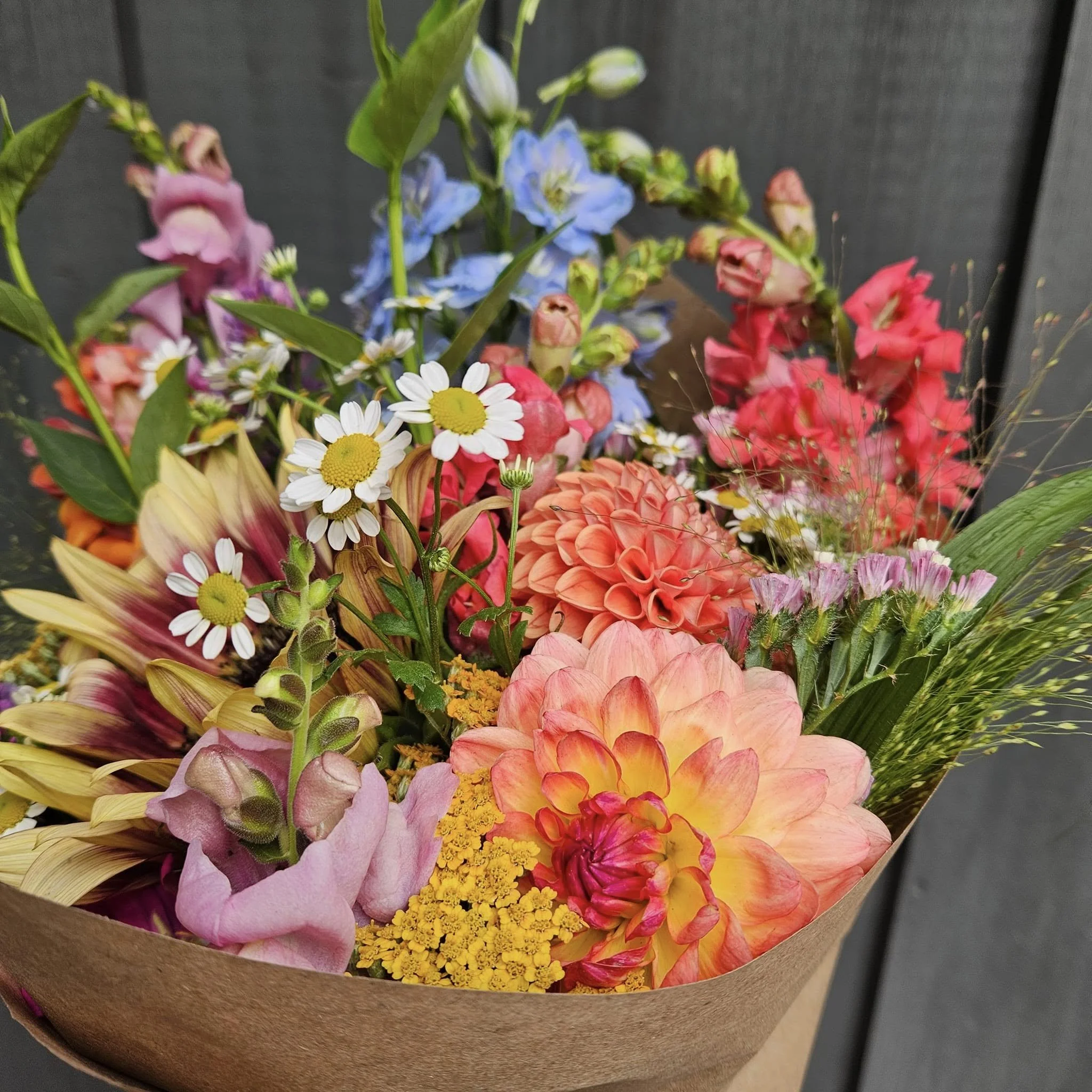 481239845_616385561024201_7666965613703217395_n.jpg (Copy) (Copy)