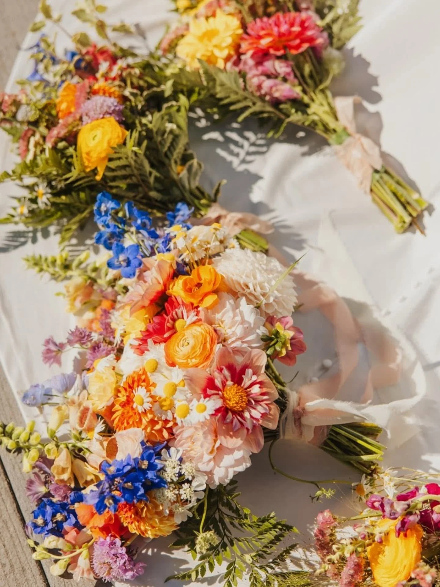 Aurelia K Photography