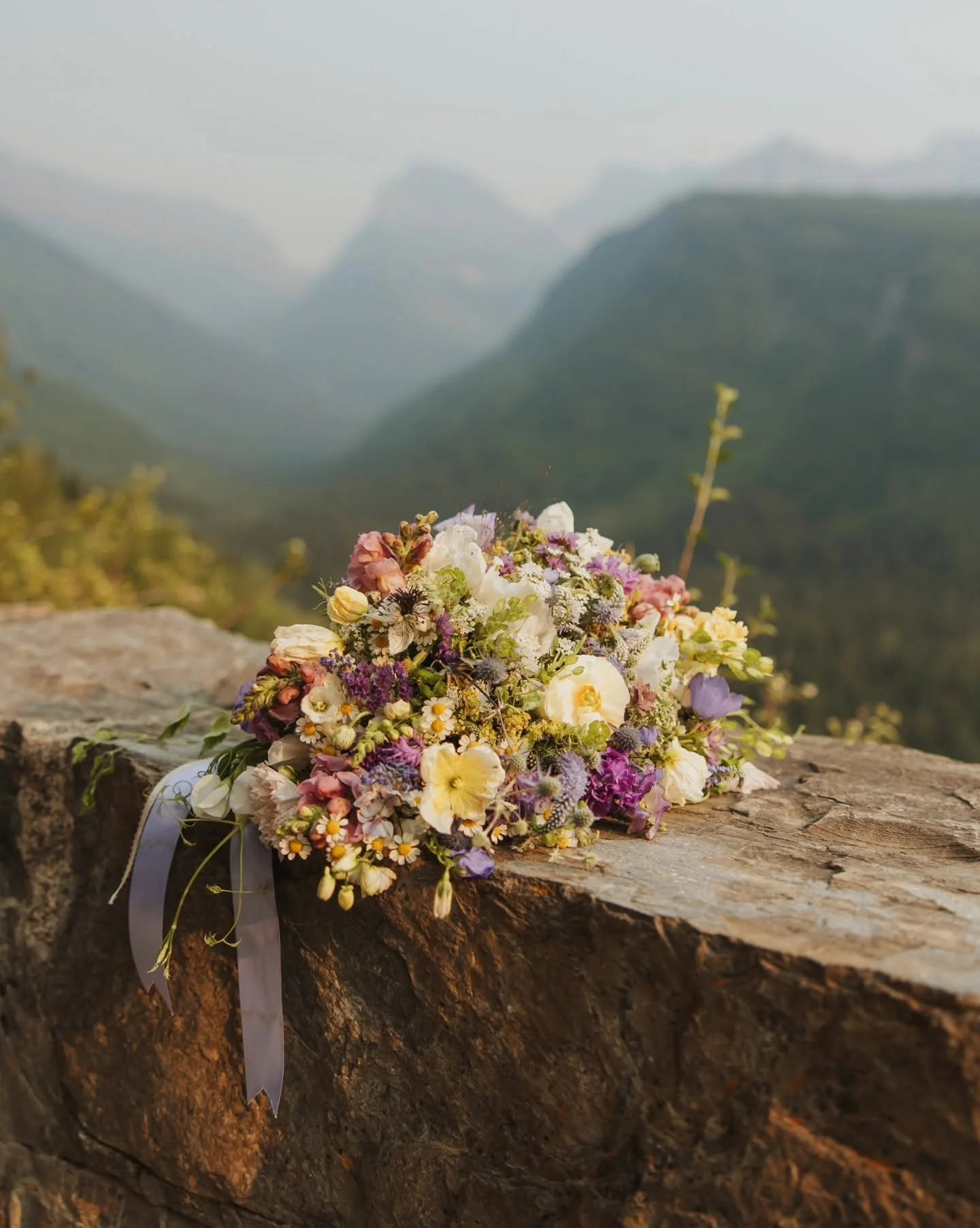 Aurelia K Photography