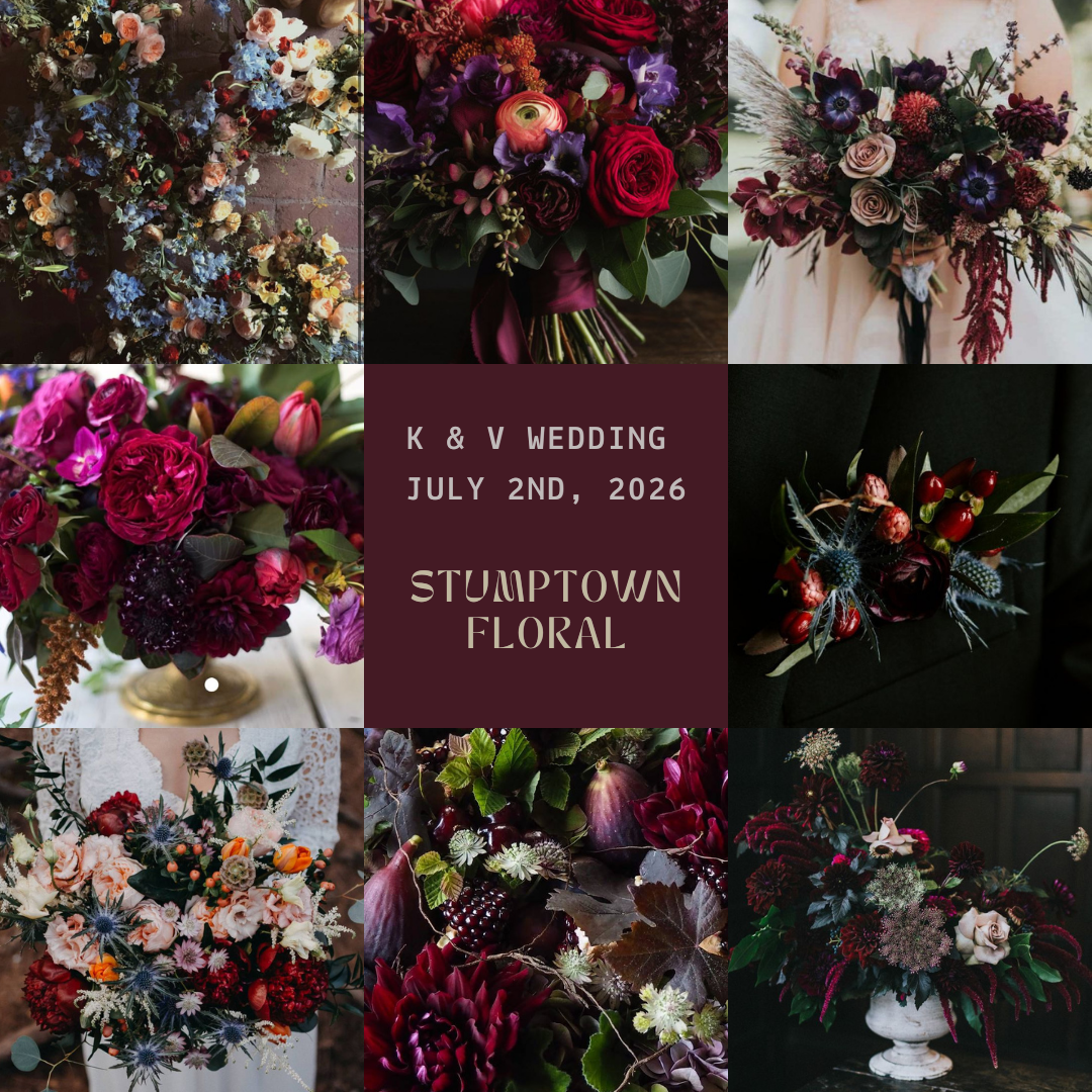 K & V Wedding 7/2/2026