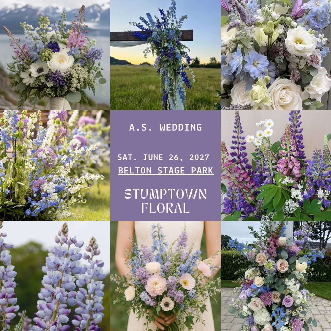 A.S.Wedding26June2027.png
