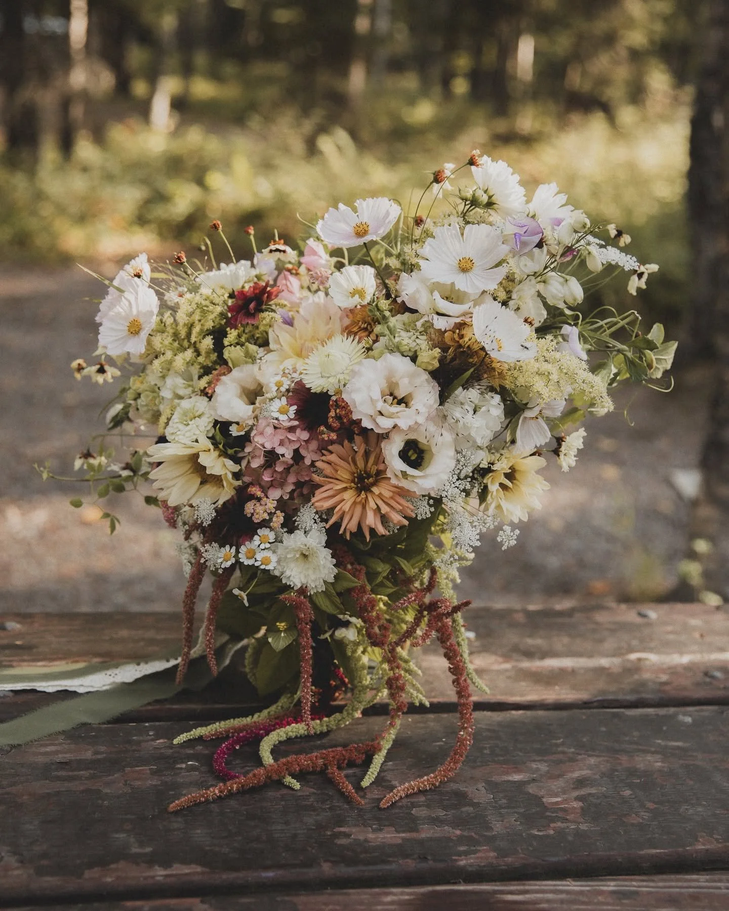 Moody Bones Photo