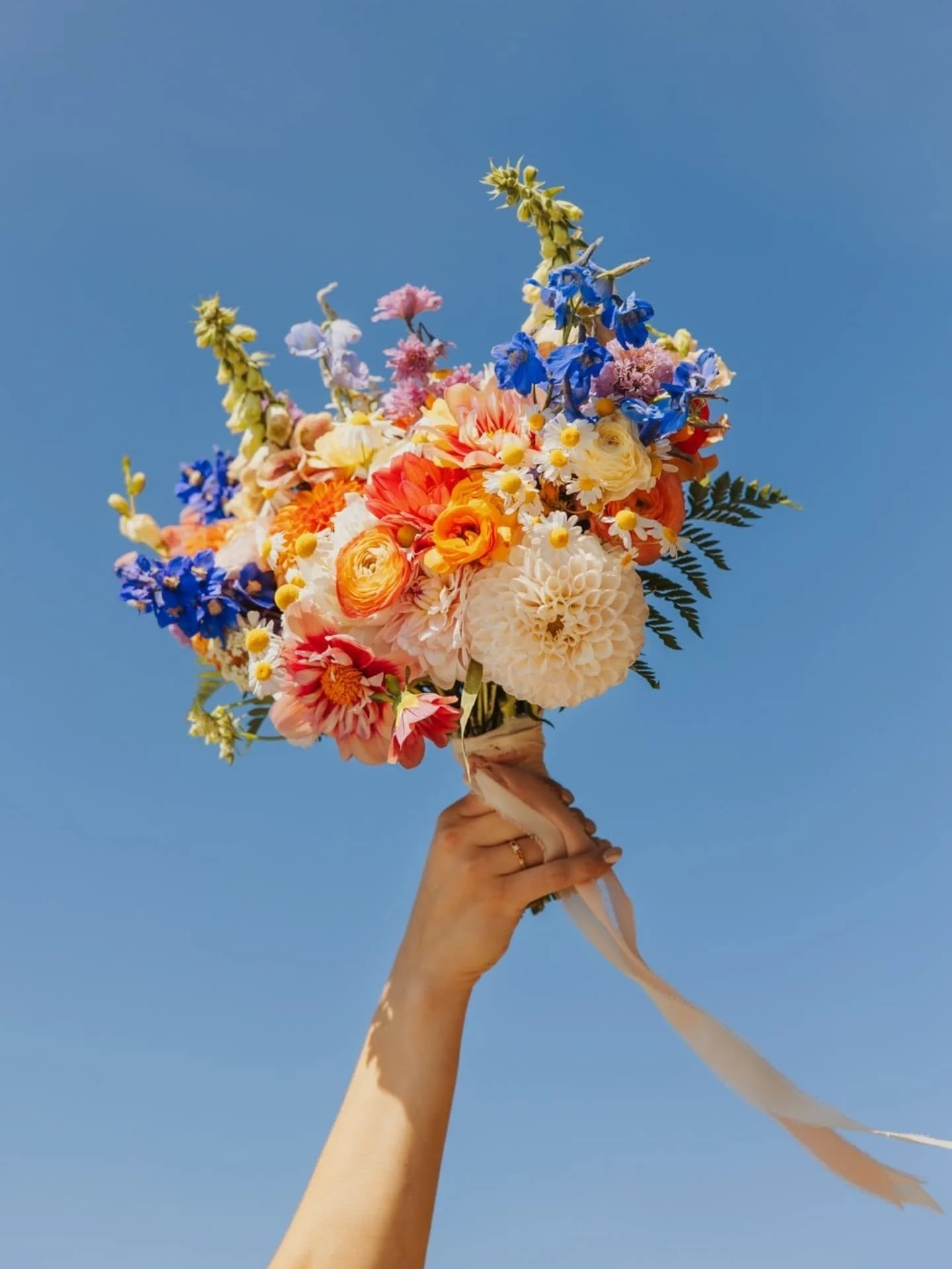 Aurelia K Photography