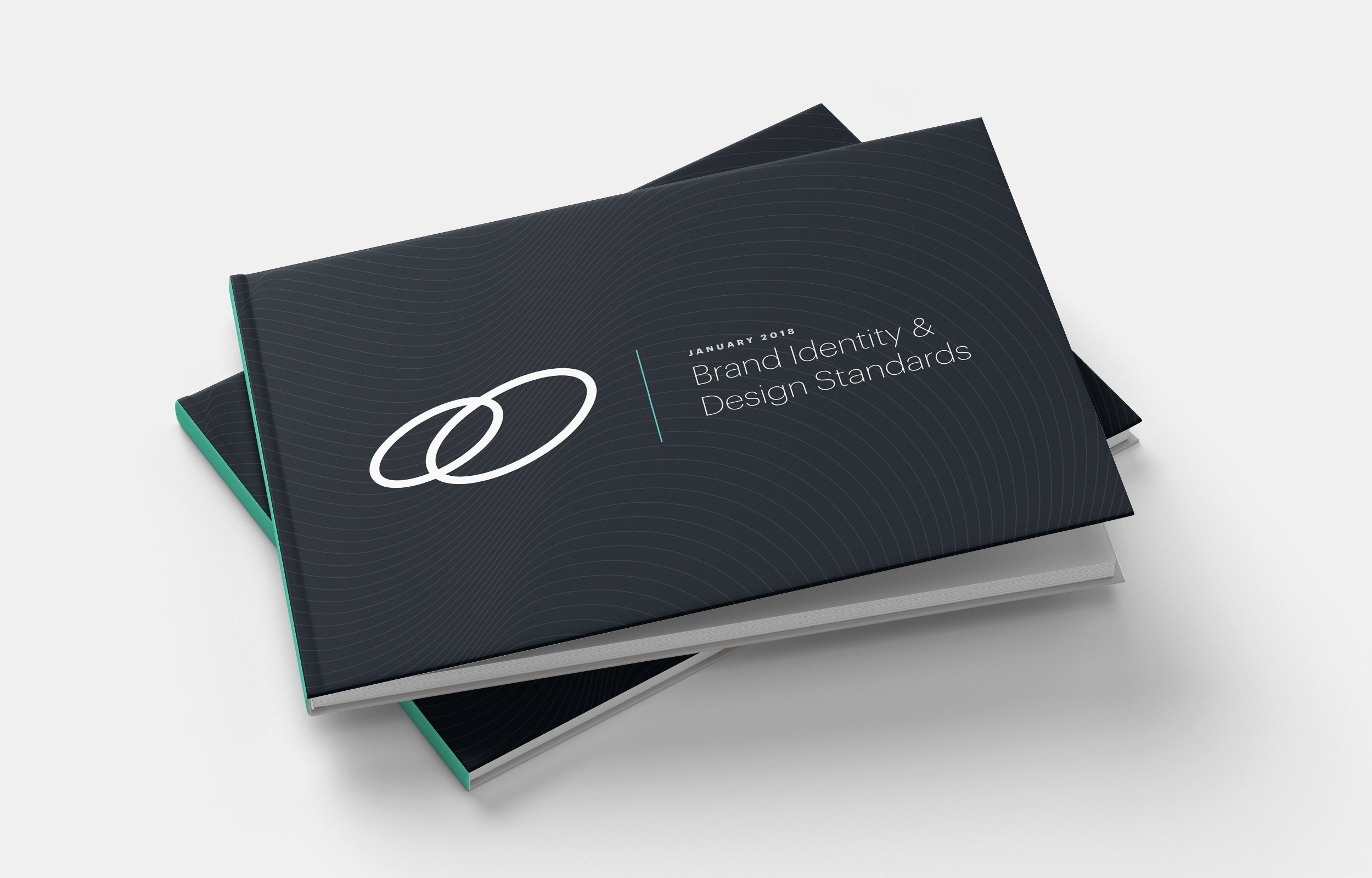 CMI_Standards_Book_Cover2.jpeg