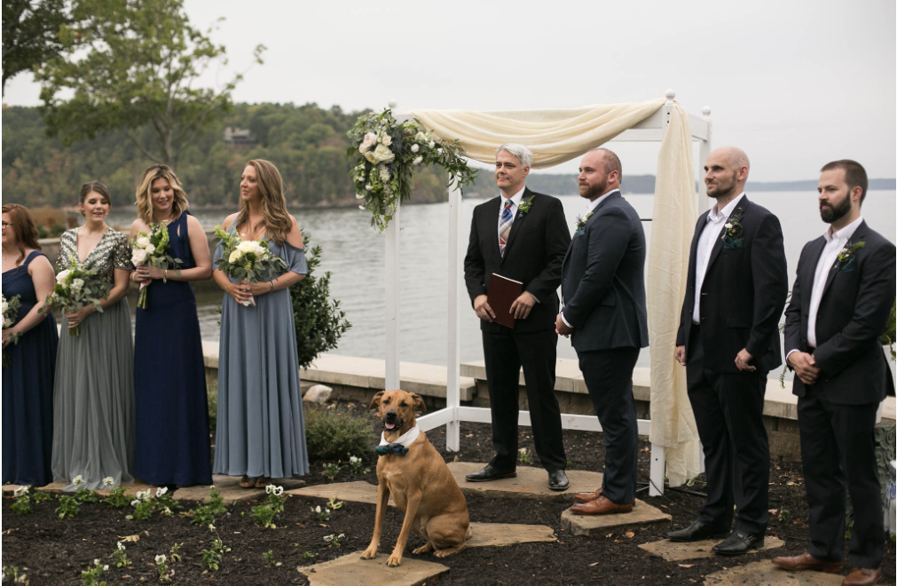 Sarah &amp; Kyle’s Rain-or-Shine&nbsp;Wedding