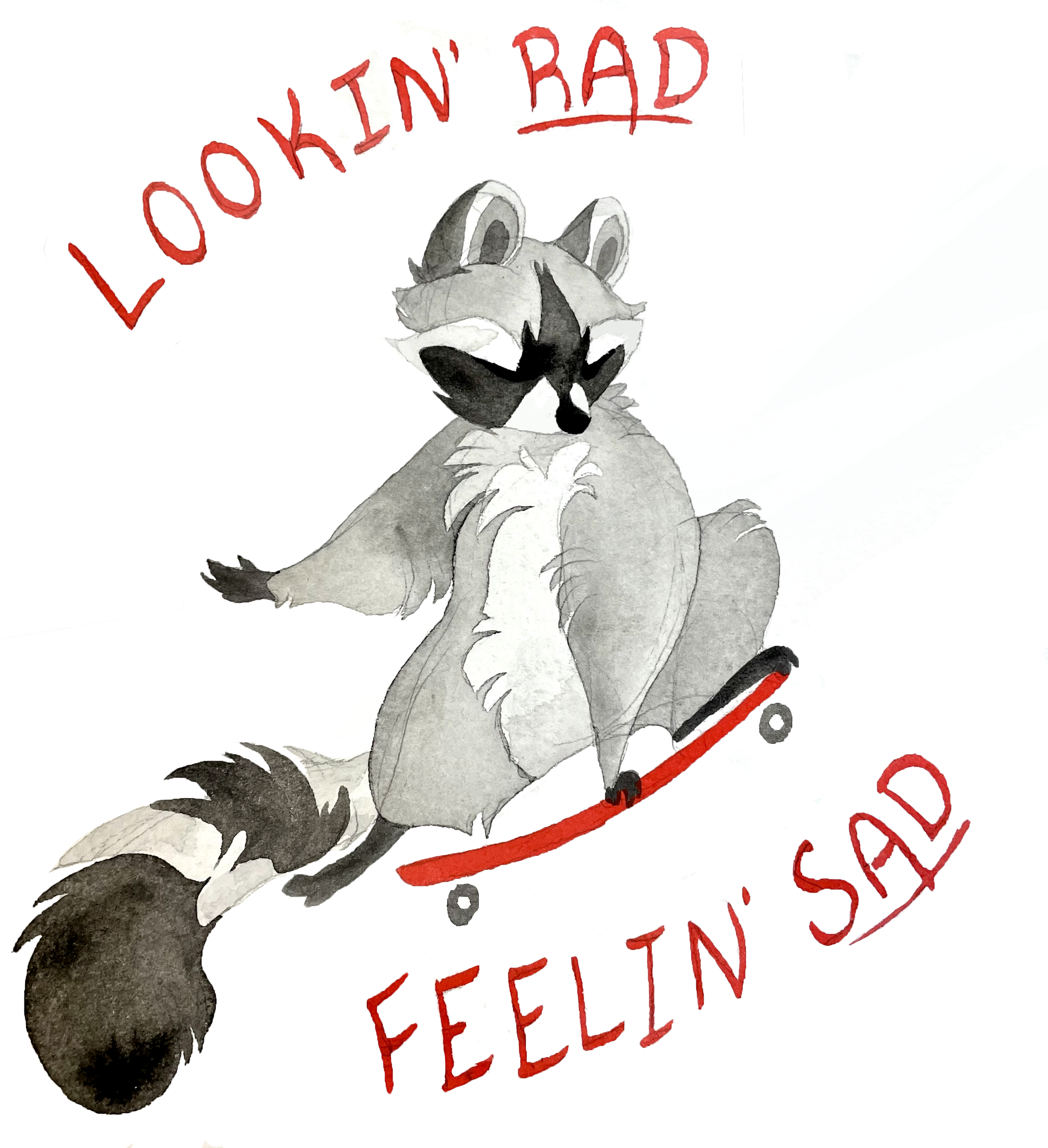 Original Raccoon Paintings