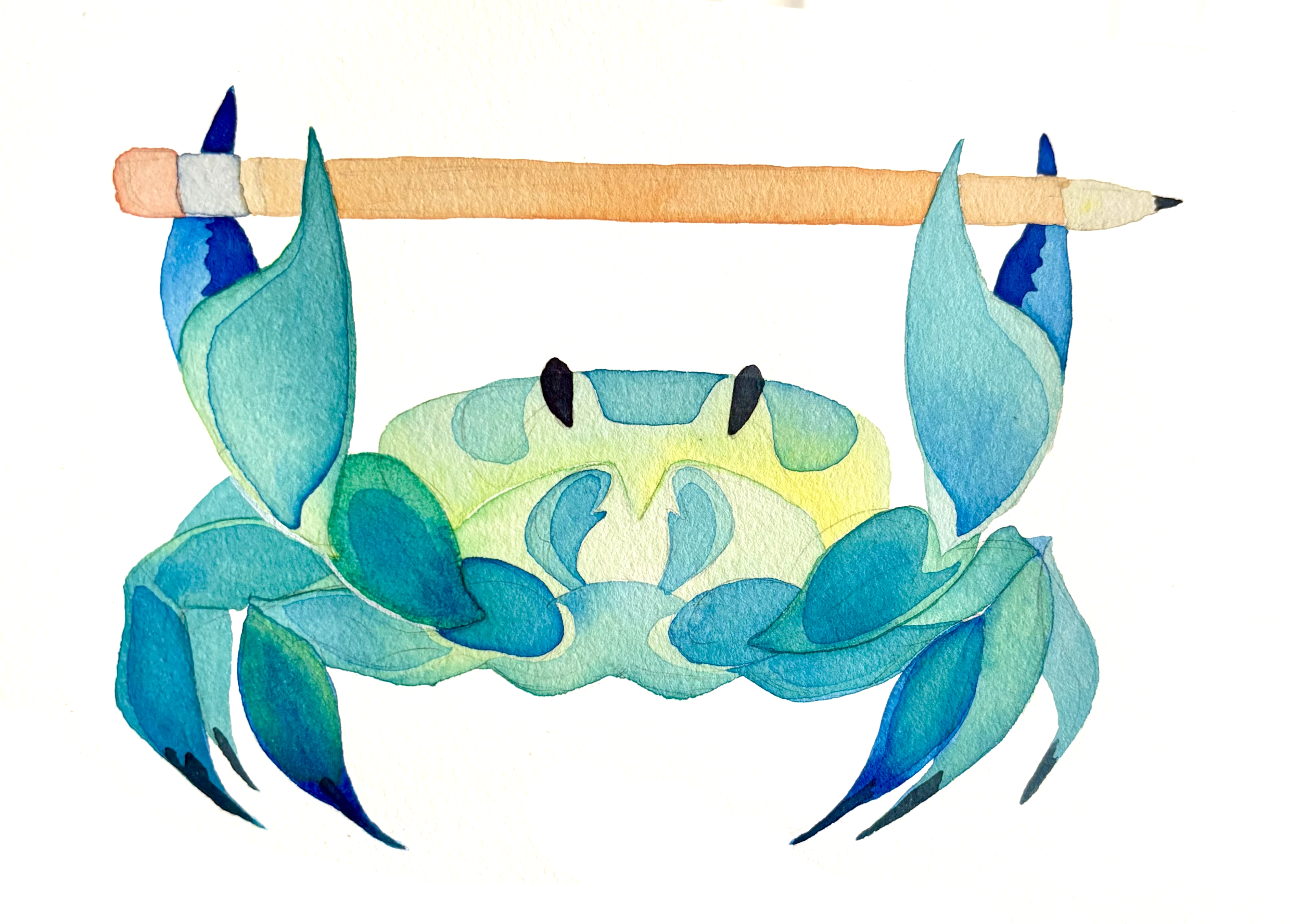 pencil crab.png